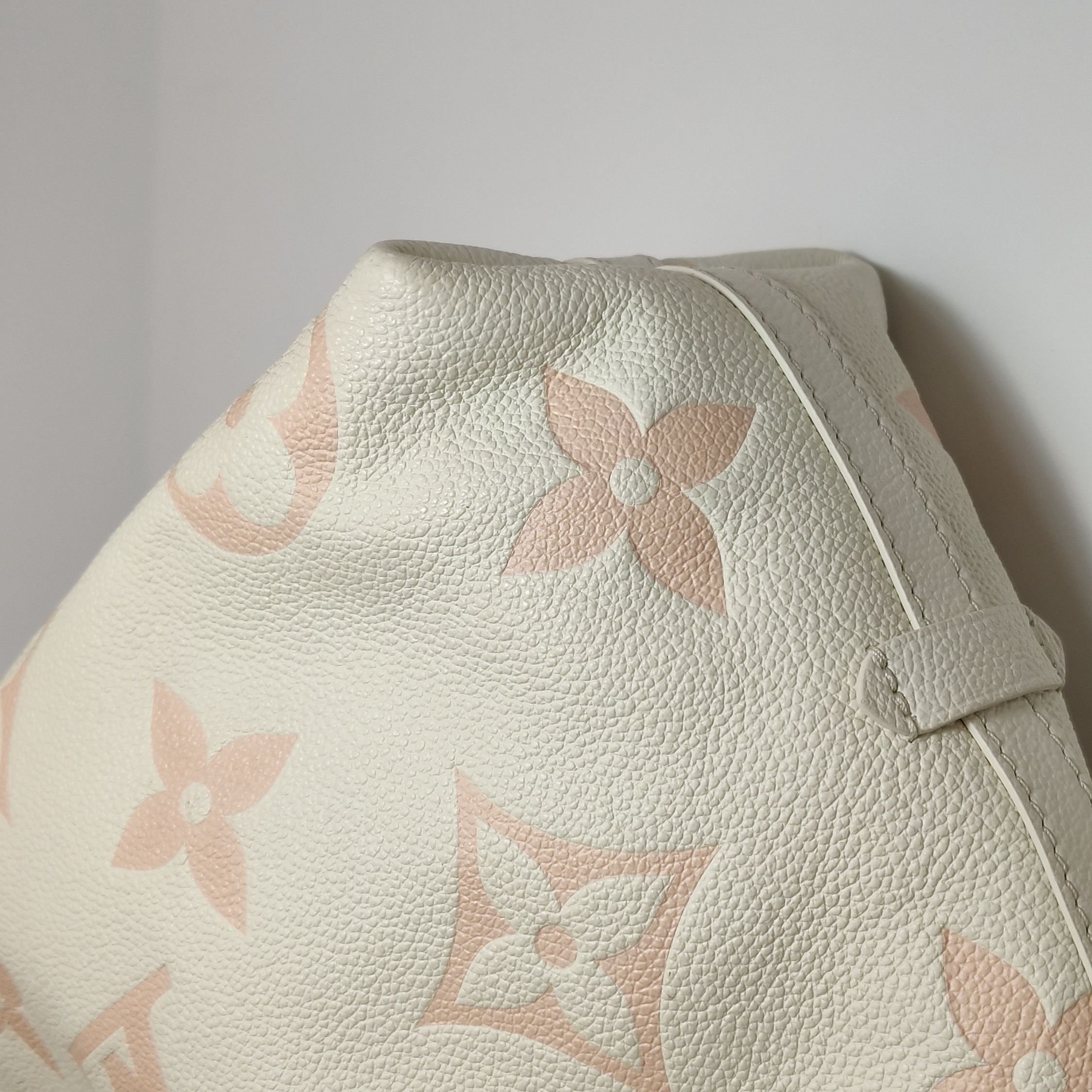 Louis Vuitton CarryAll Hobo Monogram Empreinte Giant PM