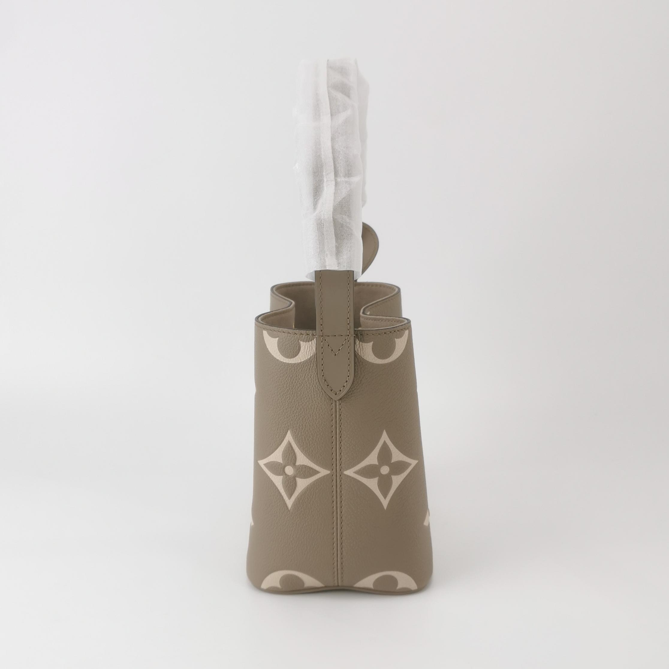 Louis Vuitton (LV) ALL IN BB Monogram Calfskin Gray — photo 4 of 14