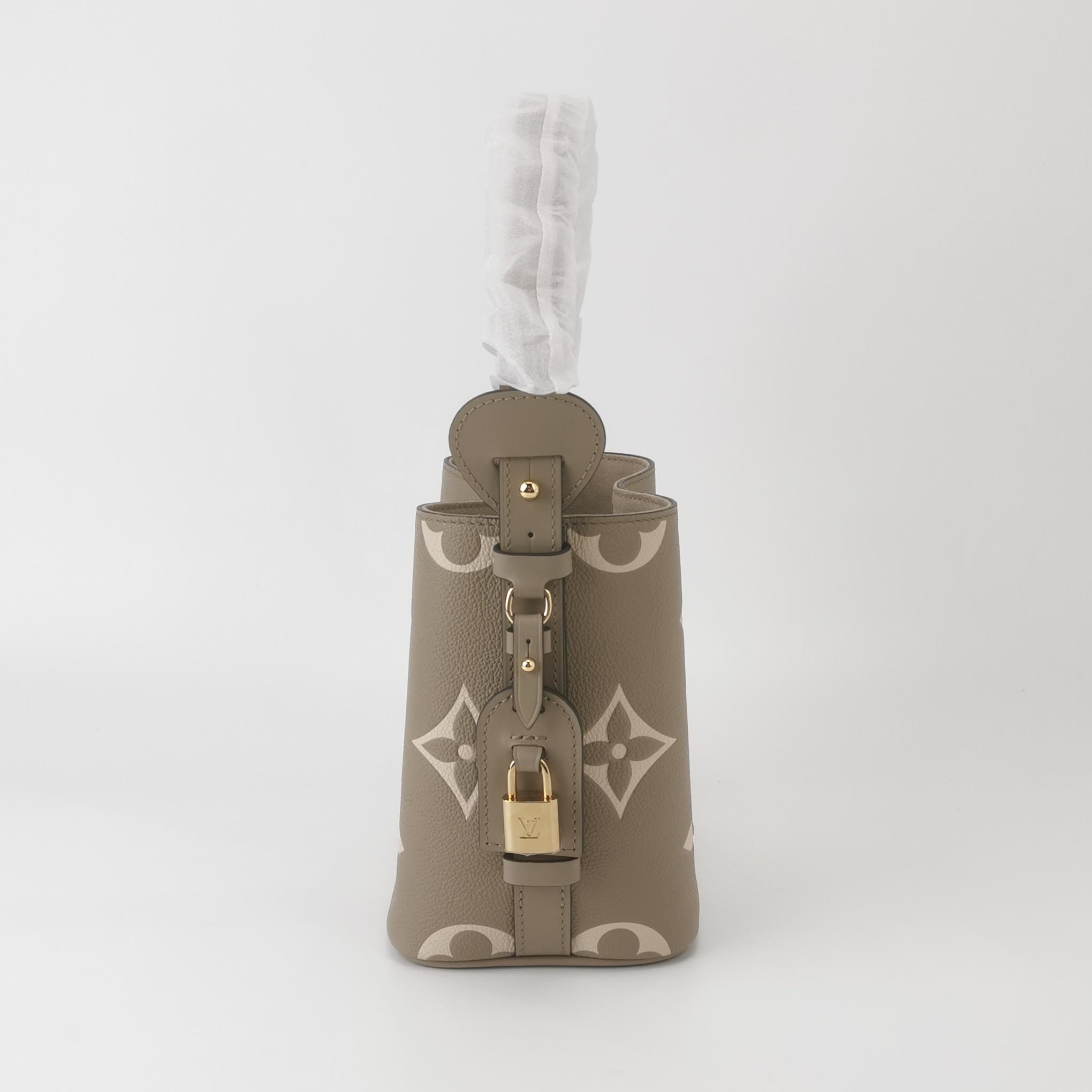 Louis Vuitton (LV) ALL IN BB Monogram Calfskin Gray — photo 3 of 14