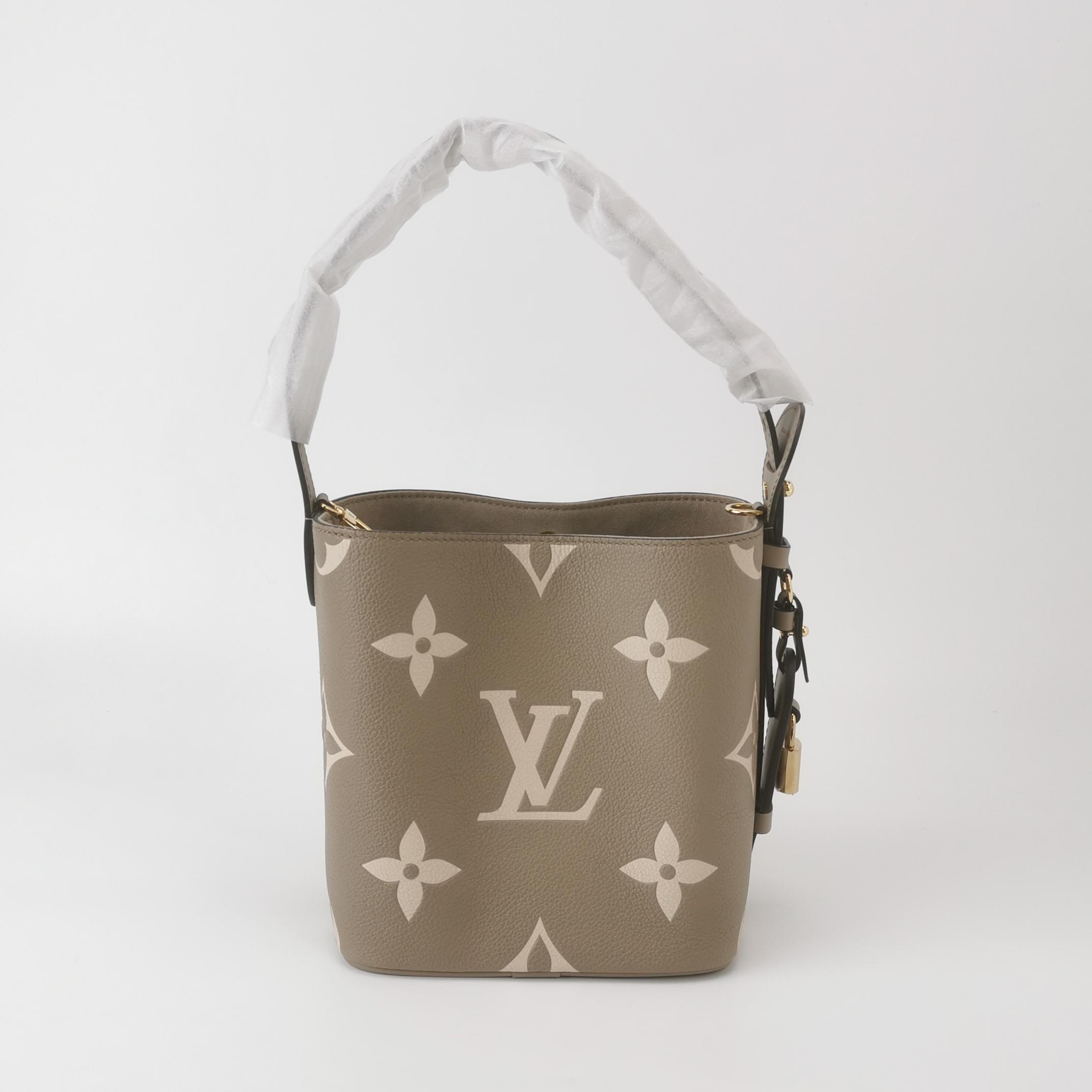 Louis Vuitton (LV) ALL IN BB Monogram Calfskin Gray — photo 6 of 14
