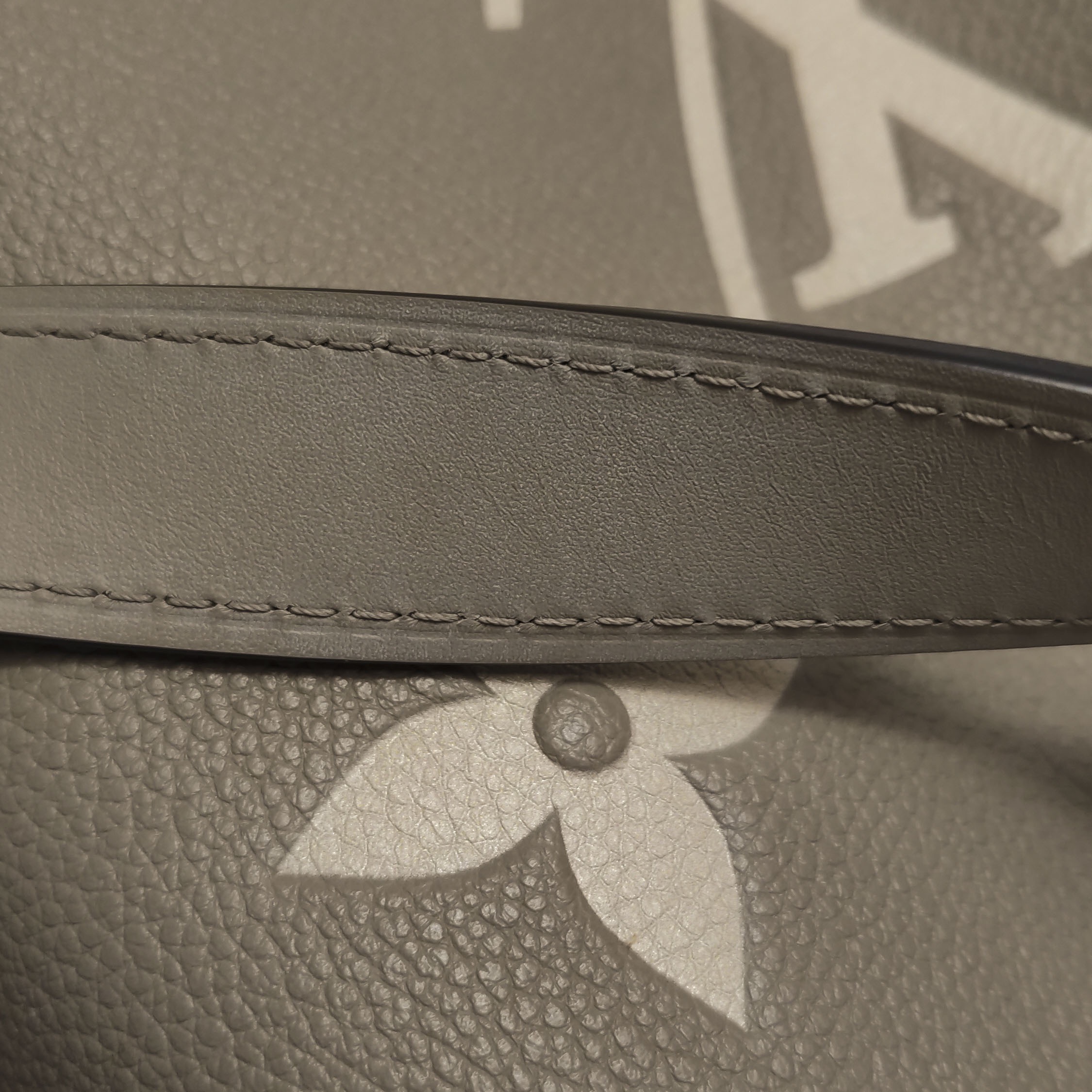 Louis Vuitton (LV) ALL IN BB Monogram Calfskin Gray — photo 14 of 14
