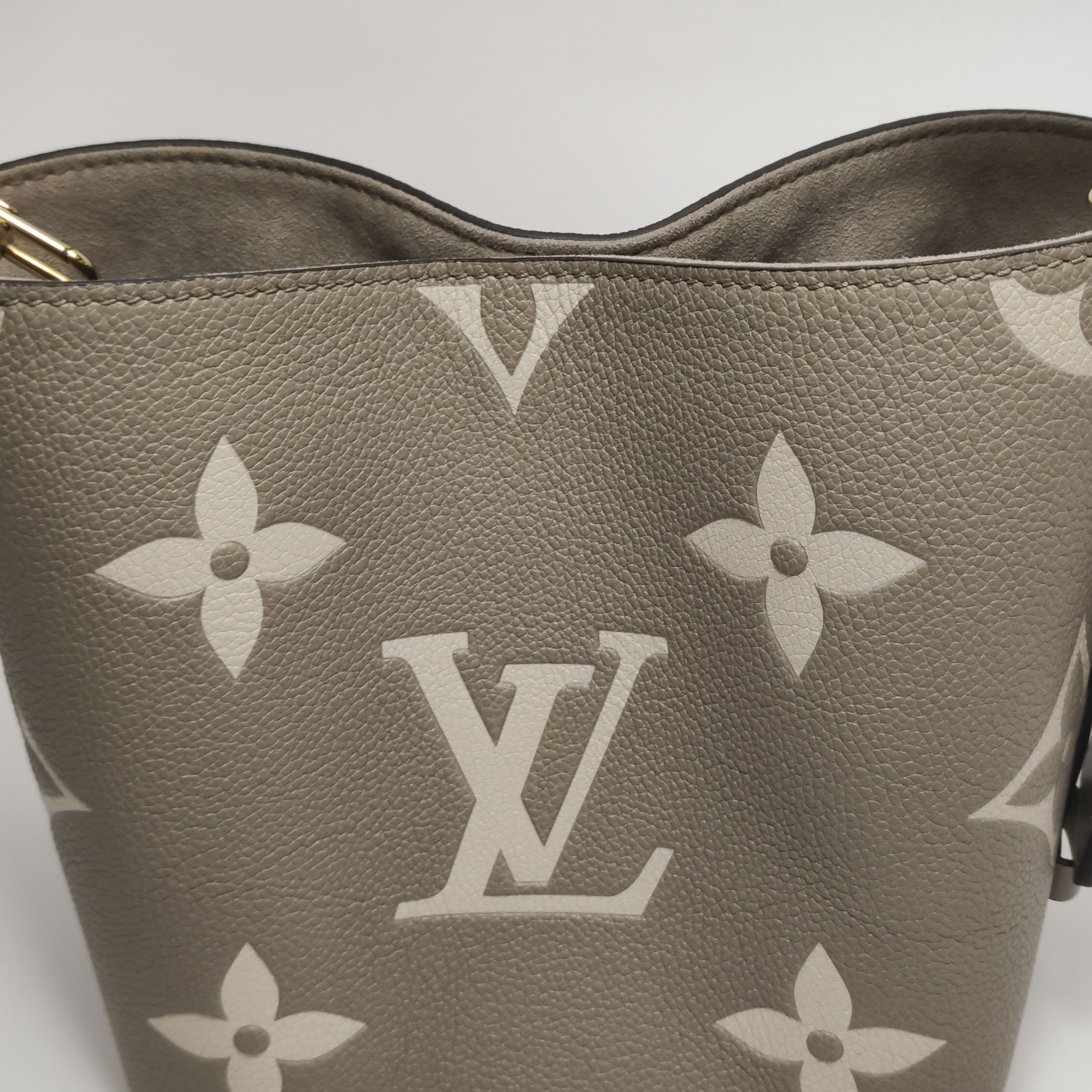 Louis Vuitton (LV) ALL IN BB Monogram Calfskin Gray — photo 8 of 14