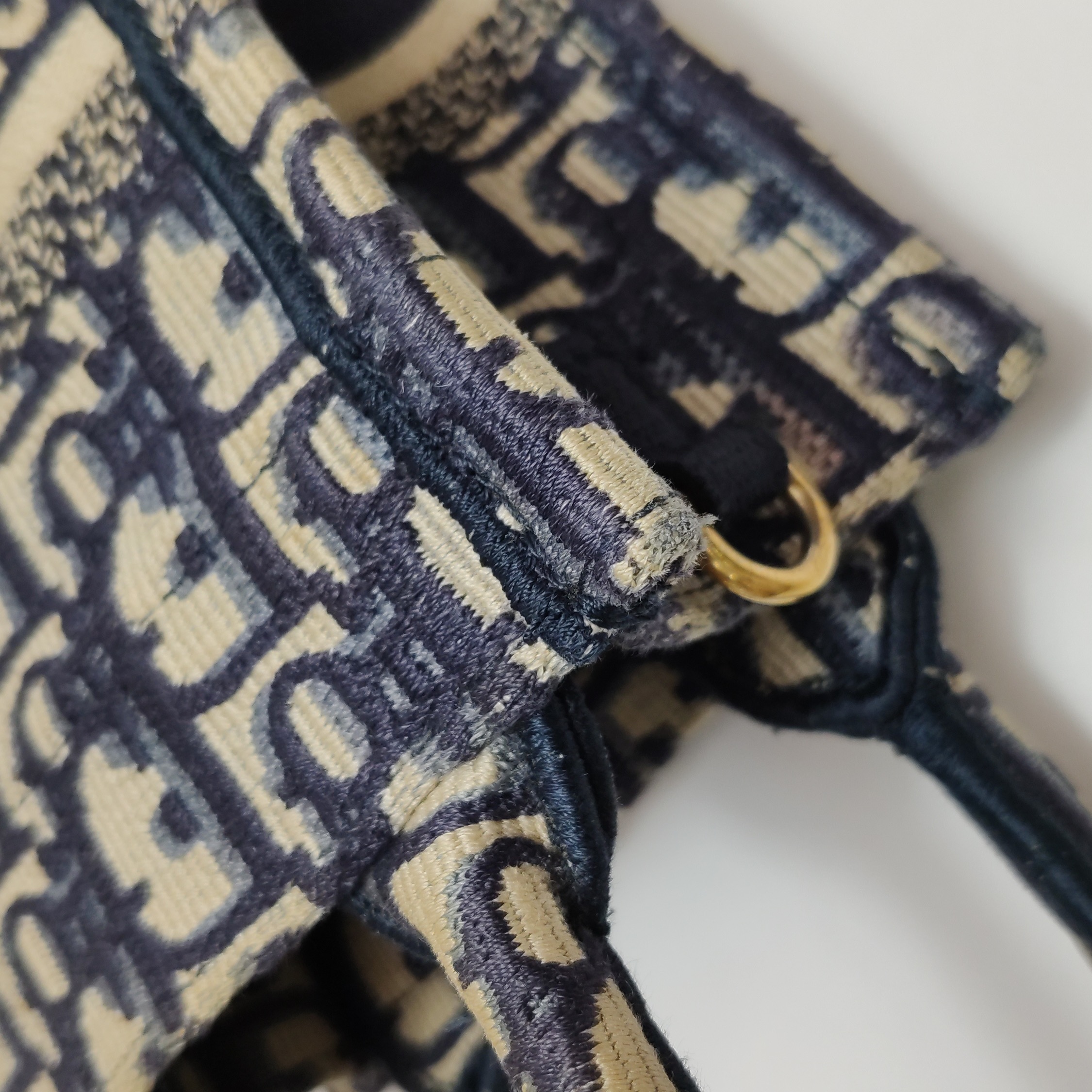 Dior Book Tote Phone Bag Oblique Canvas Mini — photo 16 of 18
