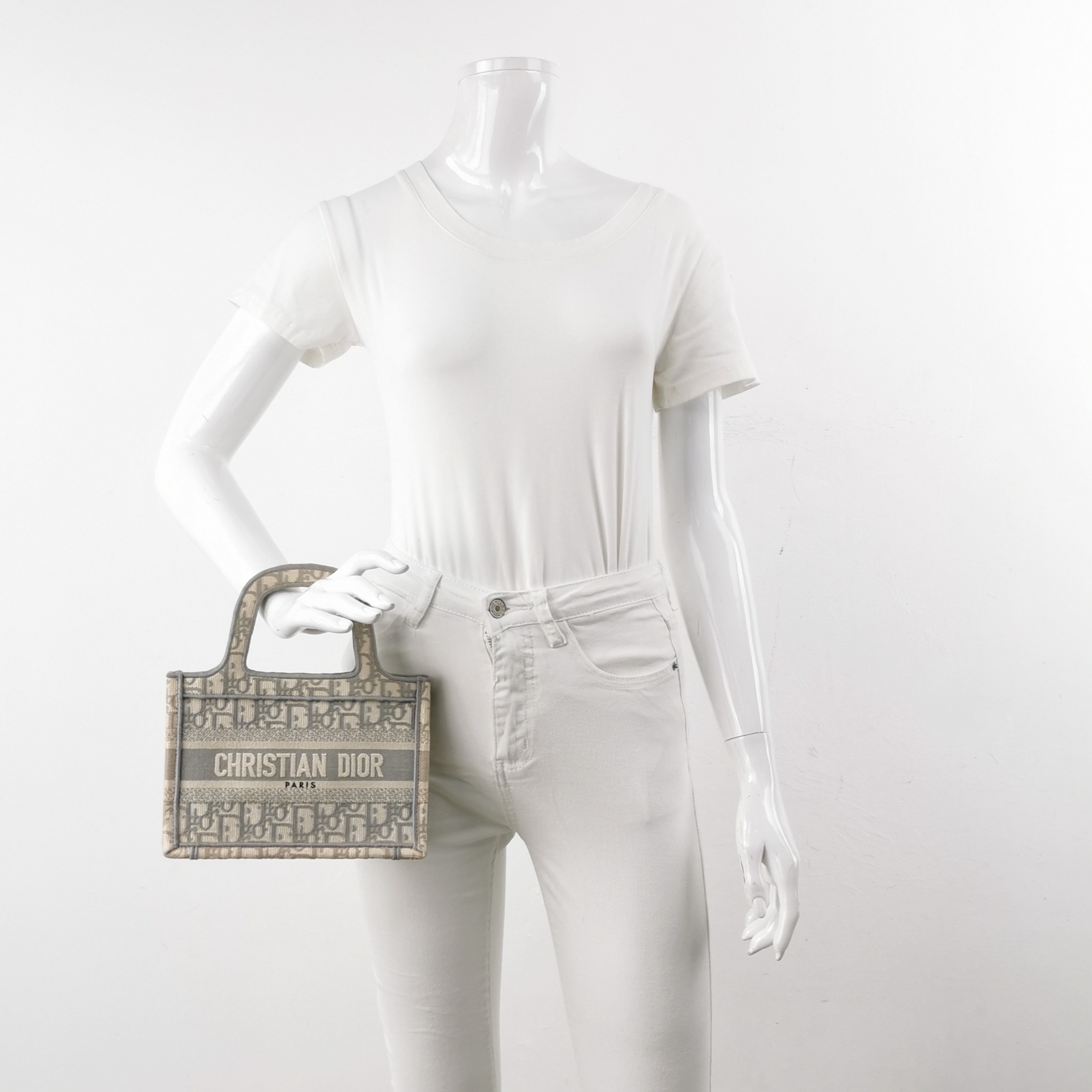 Dior Book Tote Oblique Canvas Mini — alternate view
