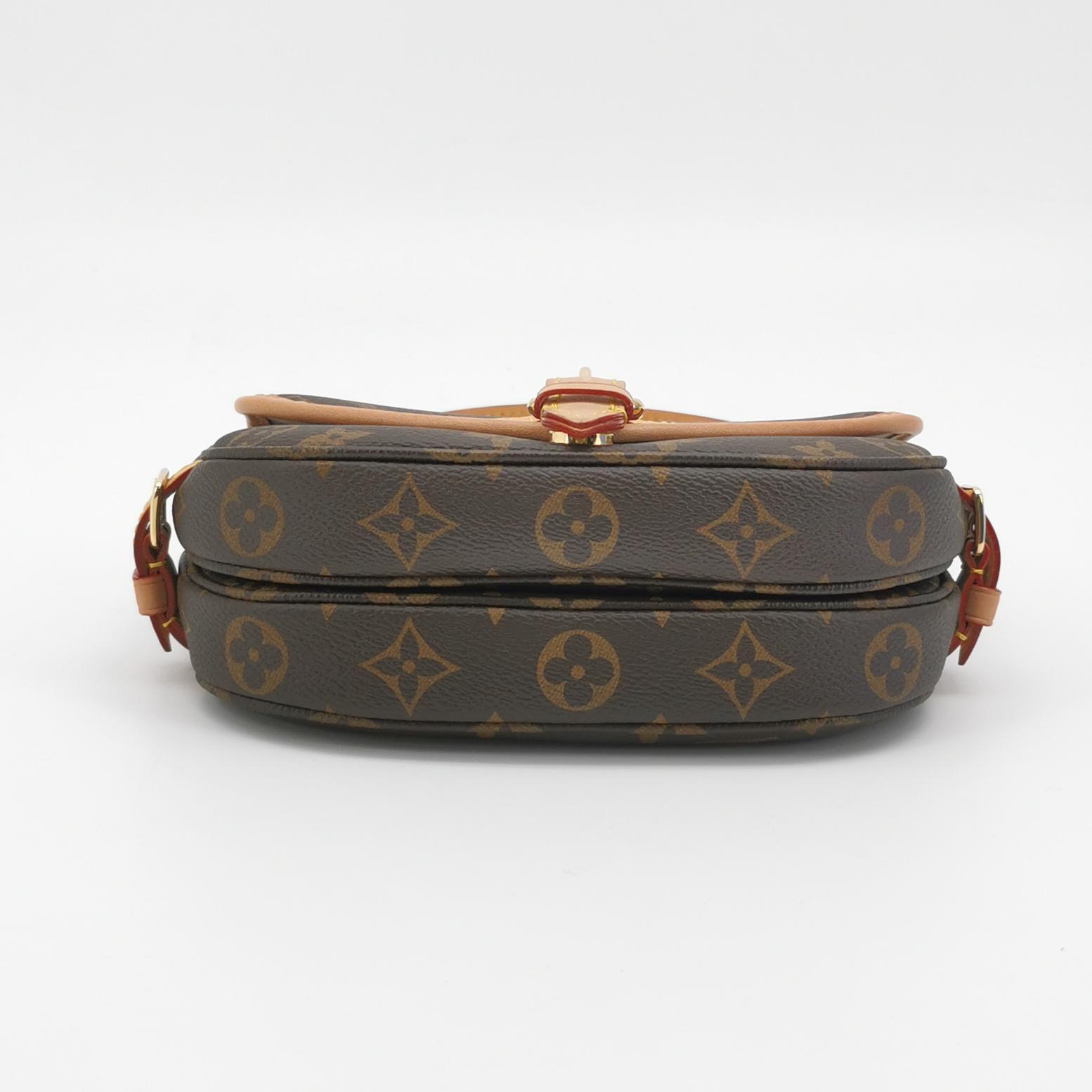 Louis Vuitton(LV) Saumur Handbag Monogram Canvas BB — photo 6 of 22