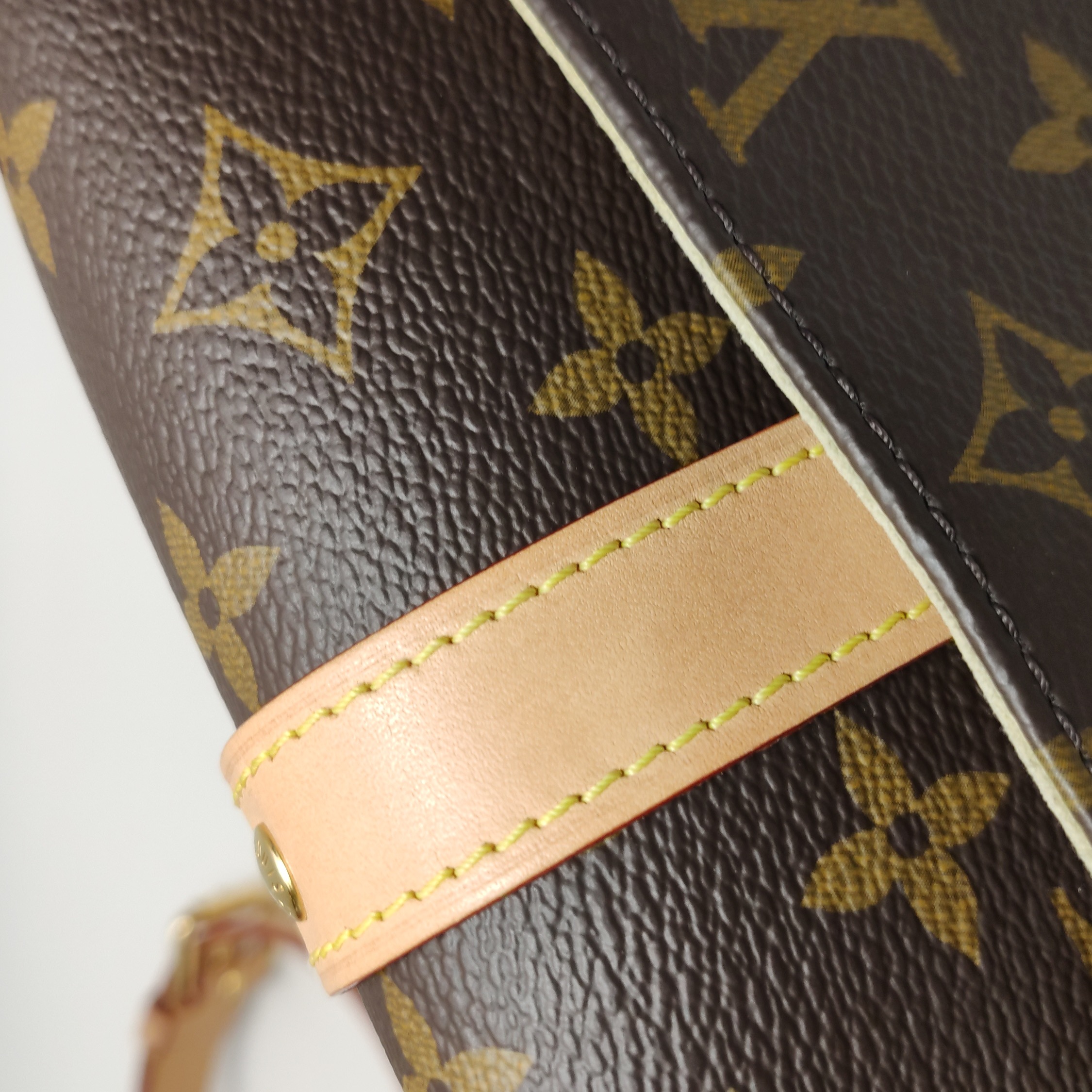 Louis Vuitton(LV) Saumur Handbag Monogram Canvas BB — photo 13 of 22