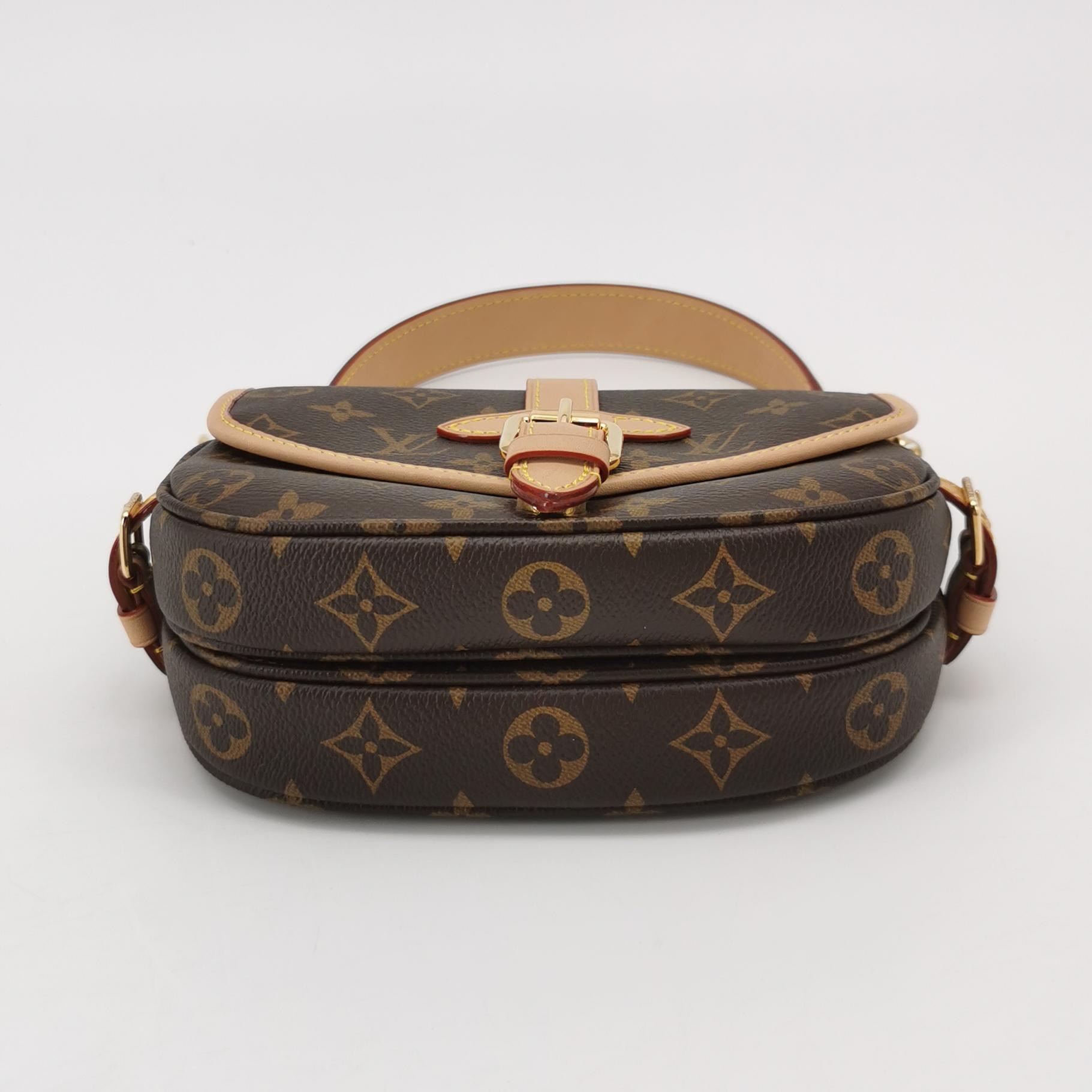 Louis Vuitton(LV) Saumur Handbag Monogram Canvas BB — photo 6 of 22