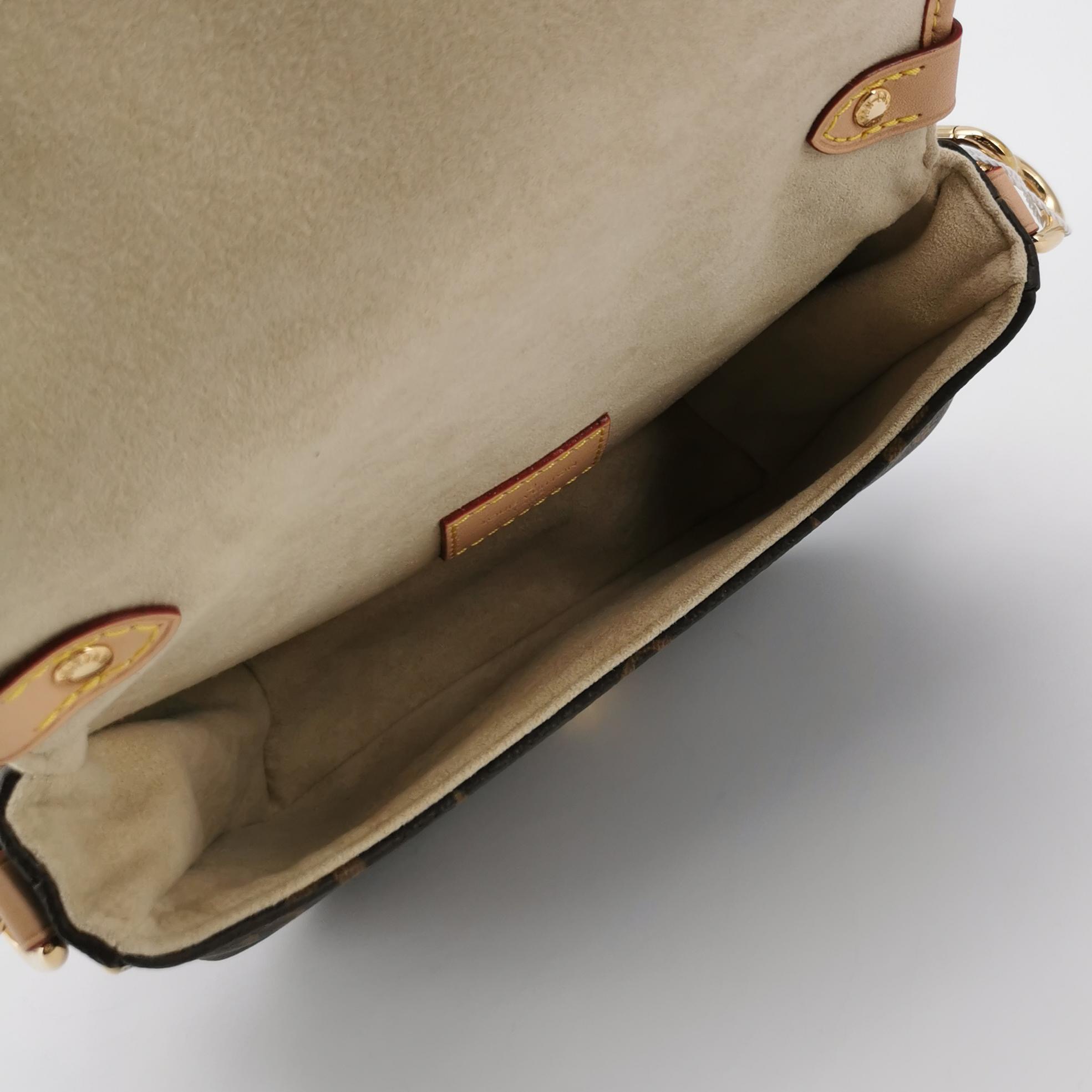 Louis Vuitton(LV) Saumur Handbag Monogram Canvas BB — photo 8 of 22