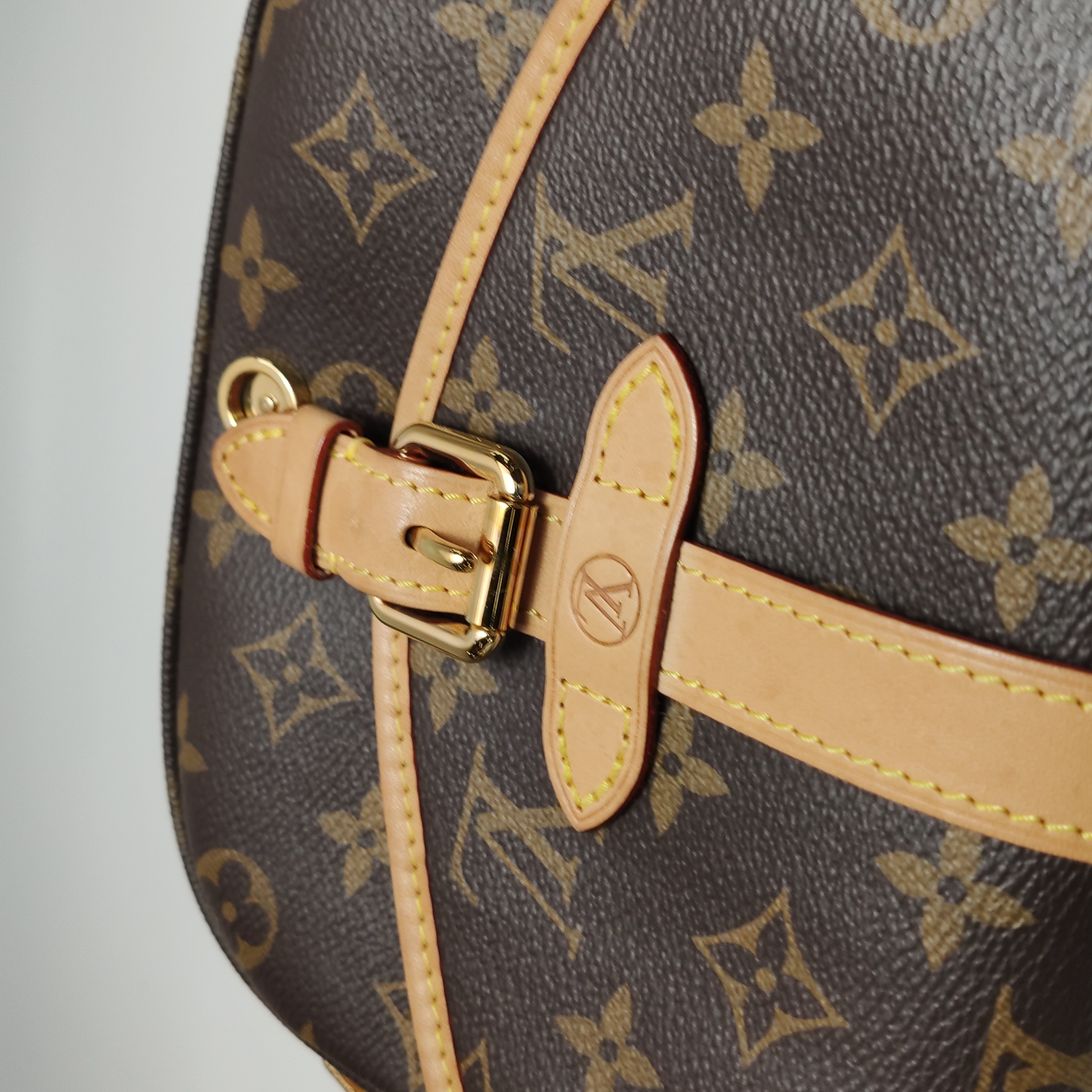Louis Vuitton(LV) Saumur Handbag Monogram Canvas BB — photo 22 of 22