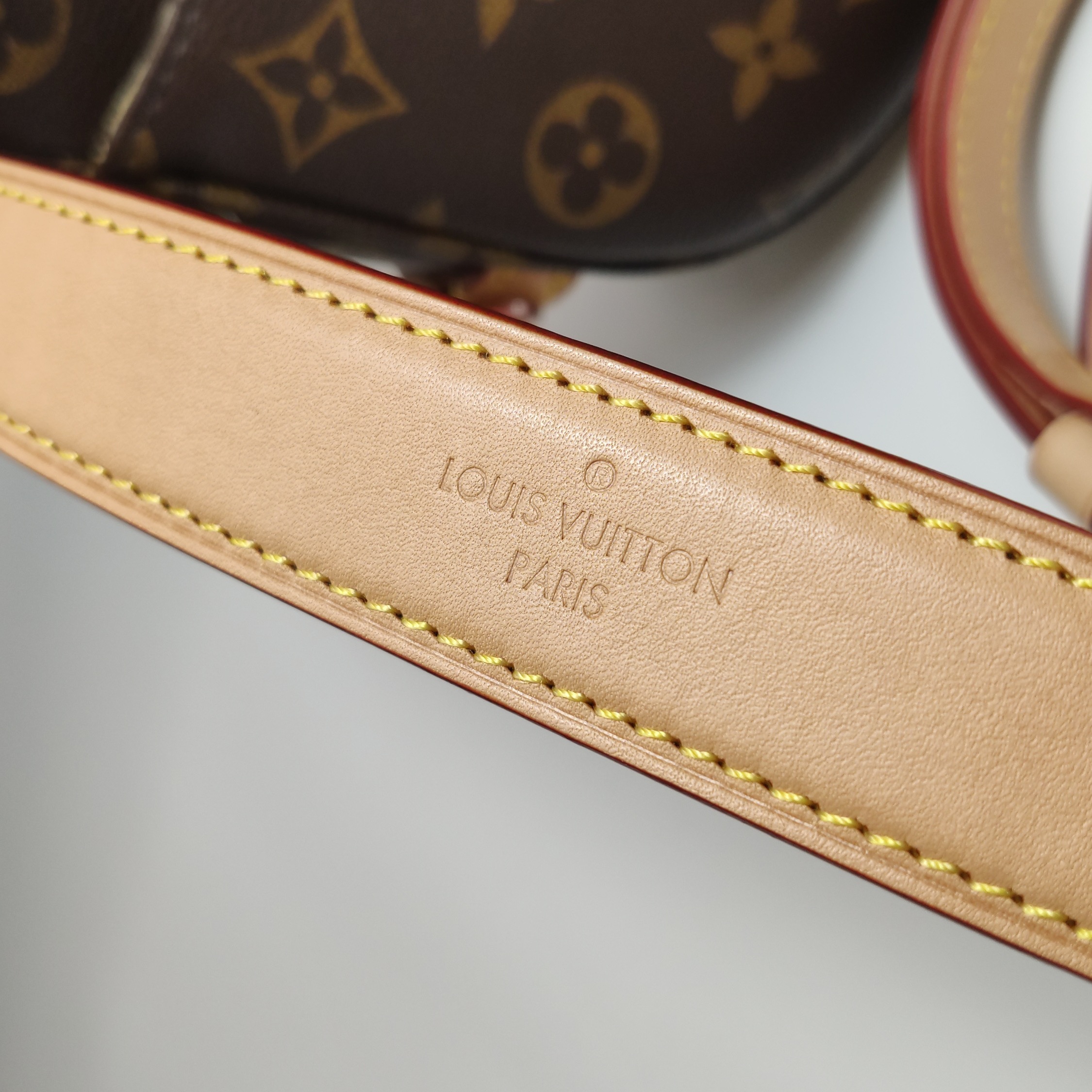 Louis Vuitton(LV) Saumur Handbag Monogram Canvas BB — photo 15 of 22