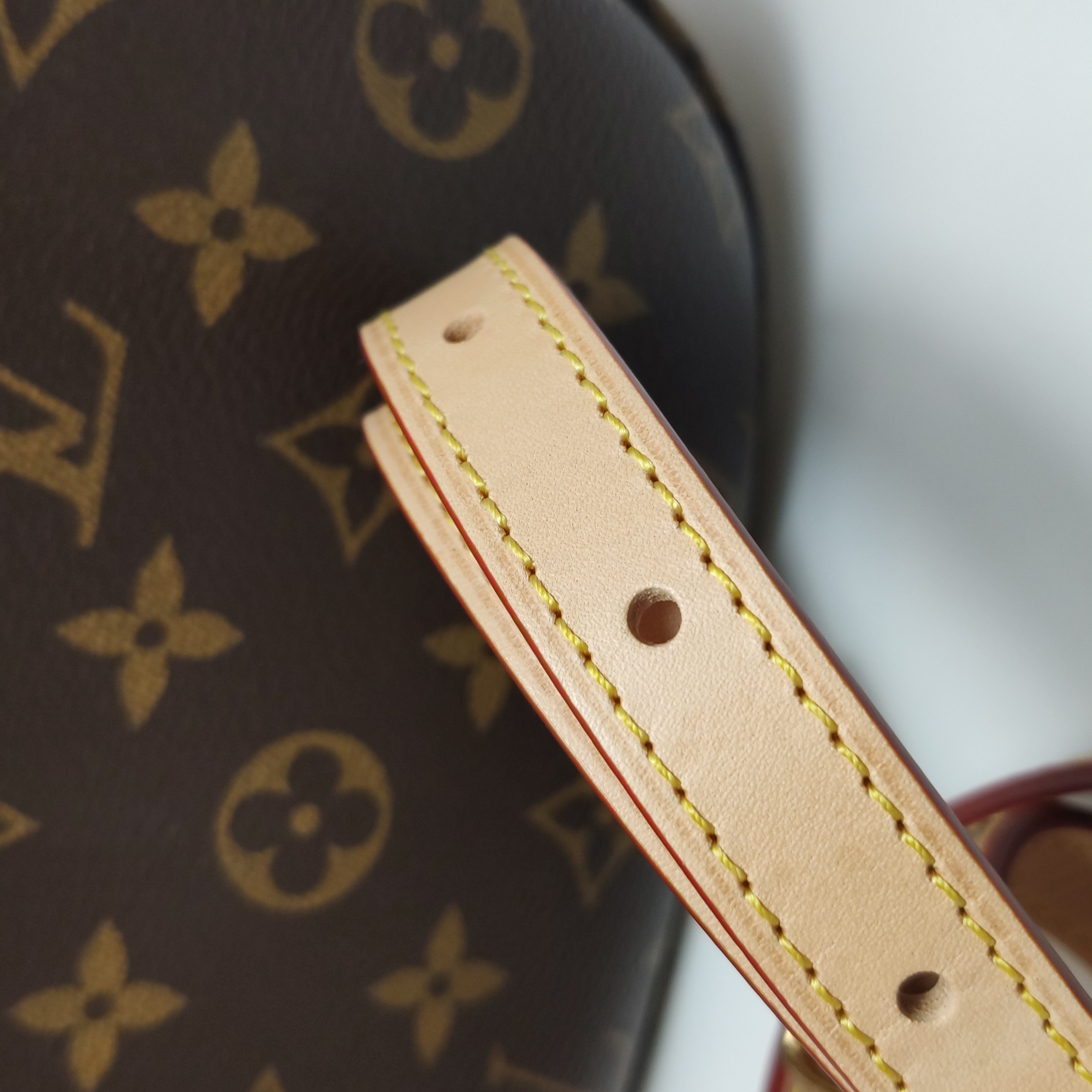 Louis Vuitton(LV) Saumur Handbag Monogram Canvas BB — photo 18 of 22