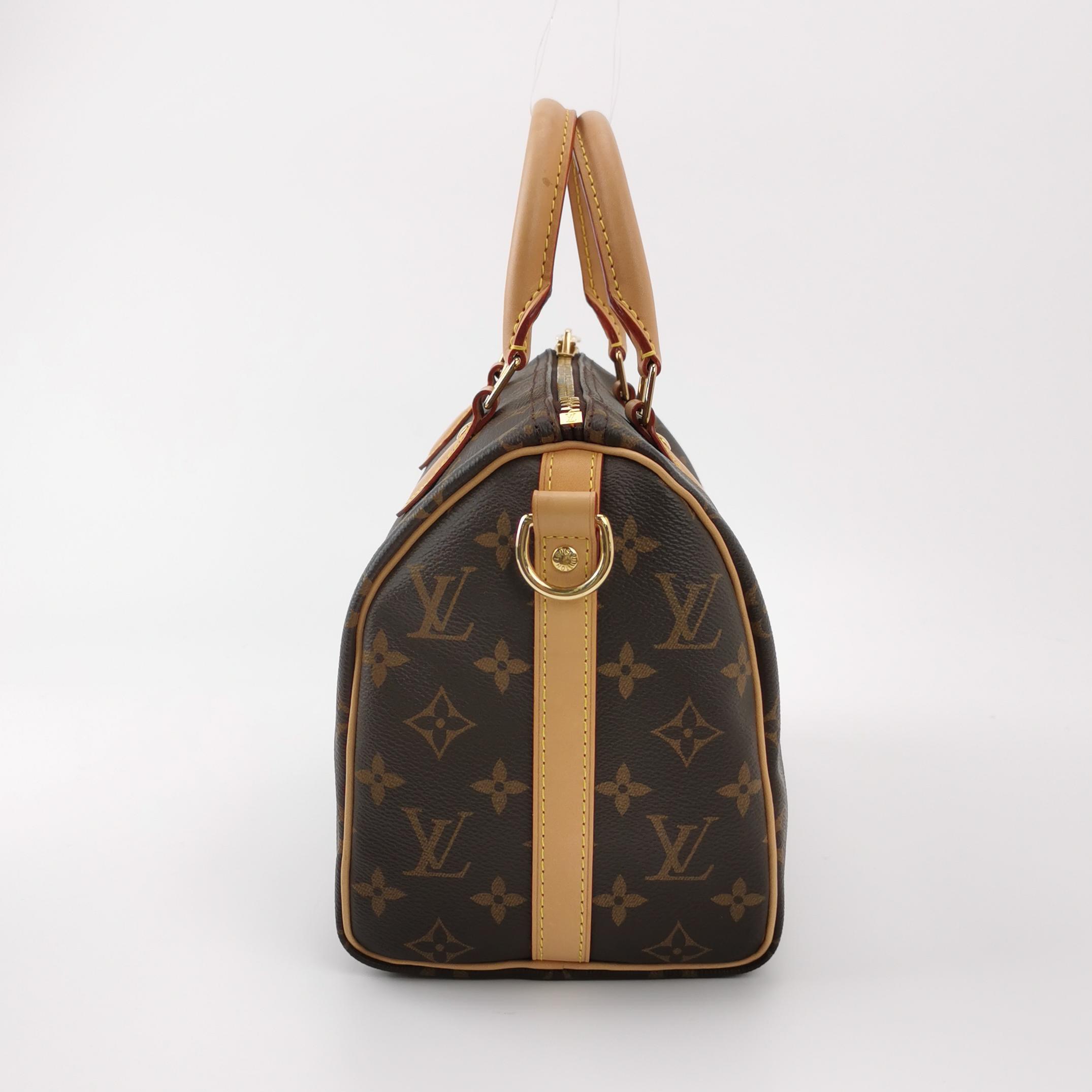 Louis Vuitton(LV) Speedy Bandouliere Bag Monogram Canvas 25 — photo 3 of 18