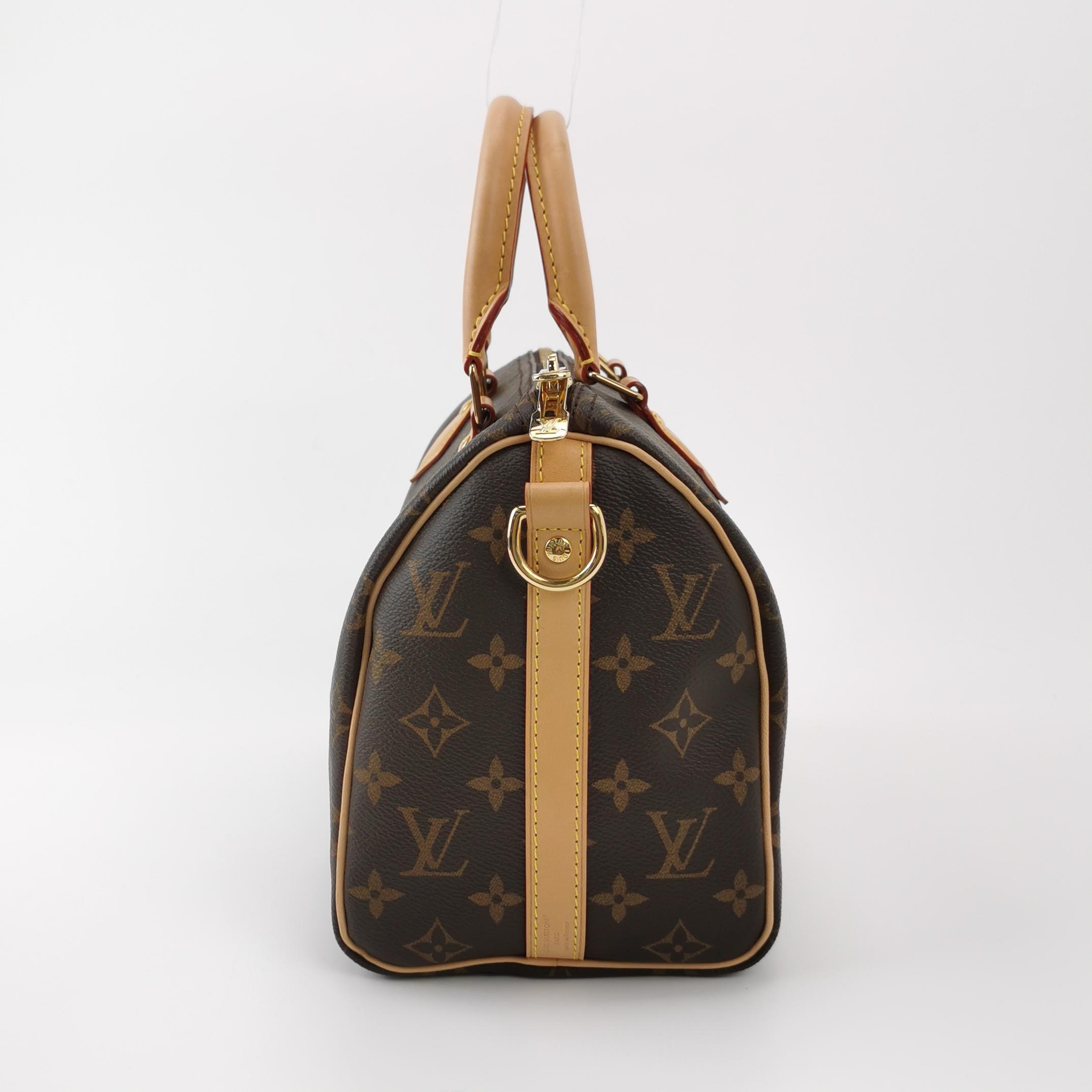 Louis Vuitton(LV) Speedy Bandouliere Bag Monogram Canvas 25 — photo 4 of 18