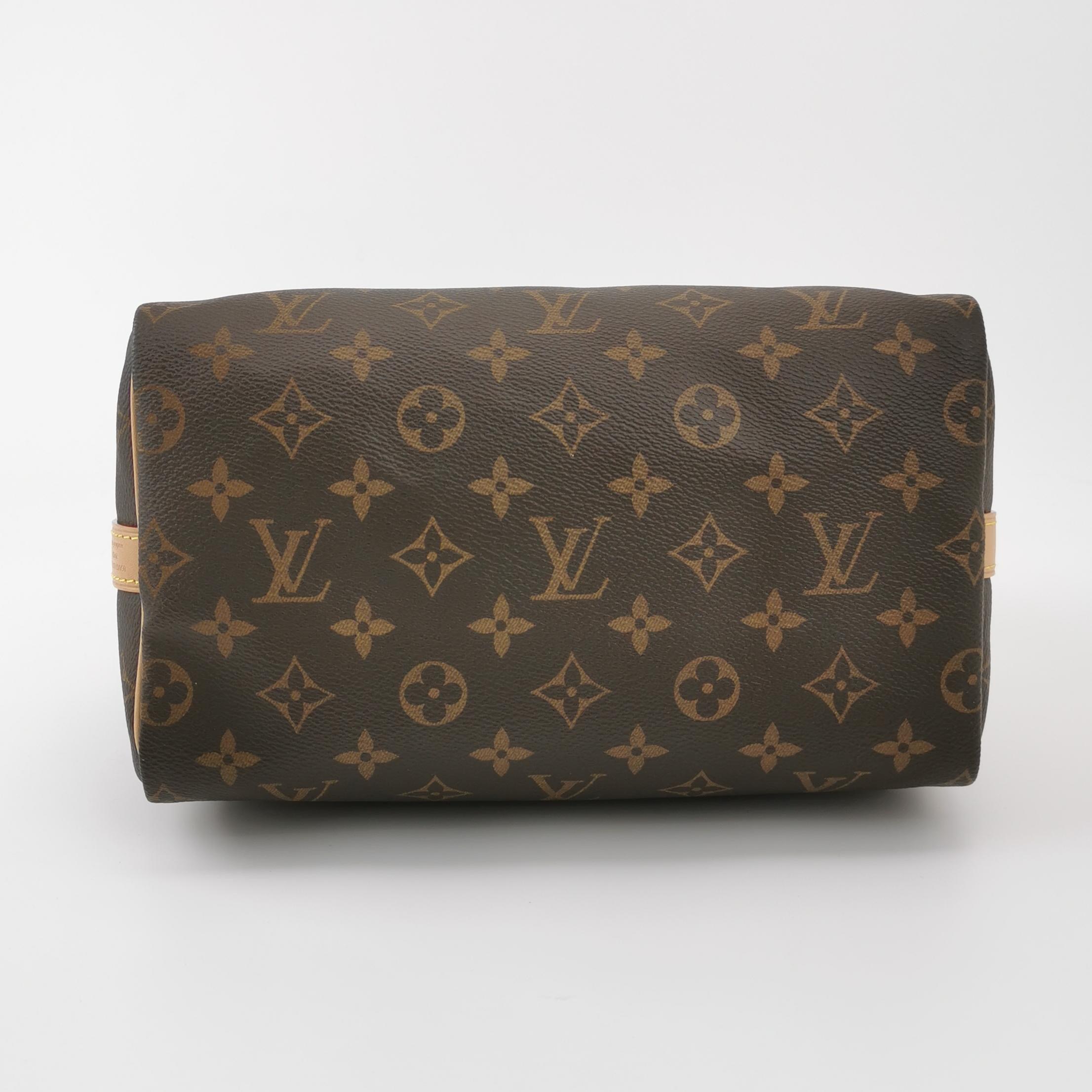 Louis Vuitton(LV) Speedy Bandouliere Bag Monogram Canvas 25 — photo 6 of 18