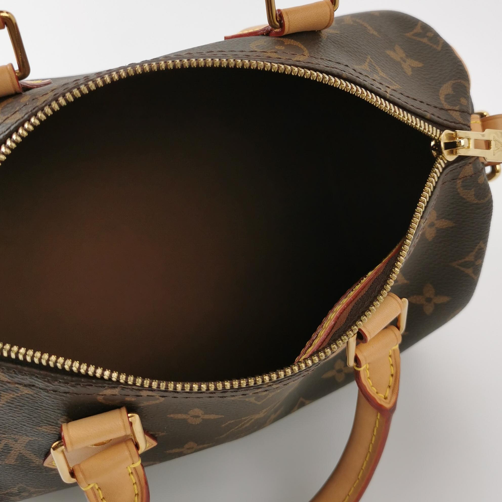 Louis Vuitton(LV) Speedy Bandouliere Bag Monogram Canvas 25 — photo 8 of 18