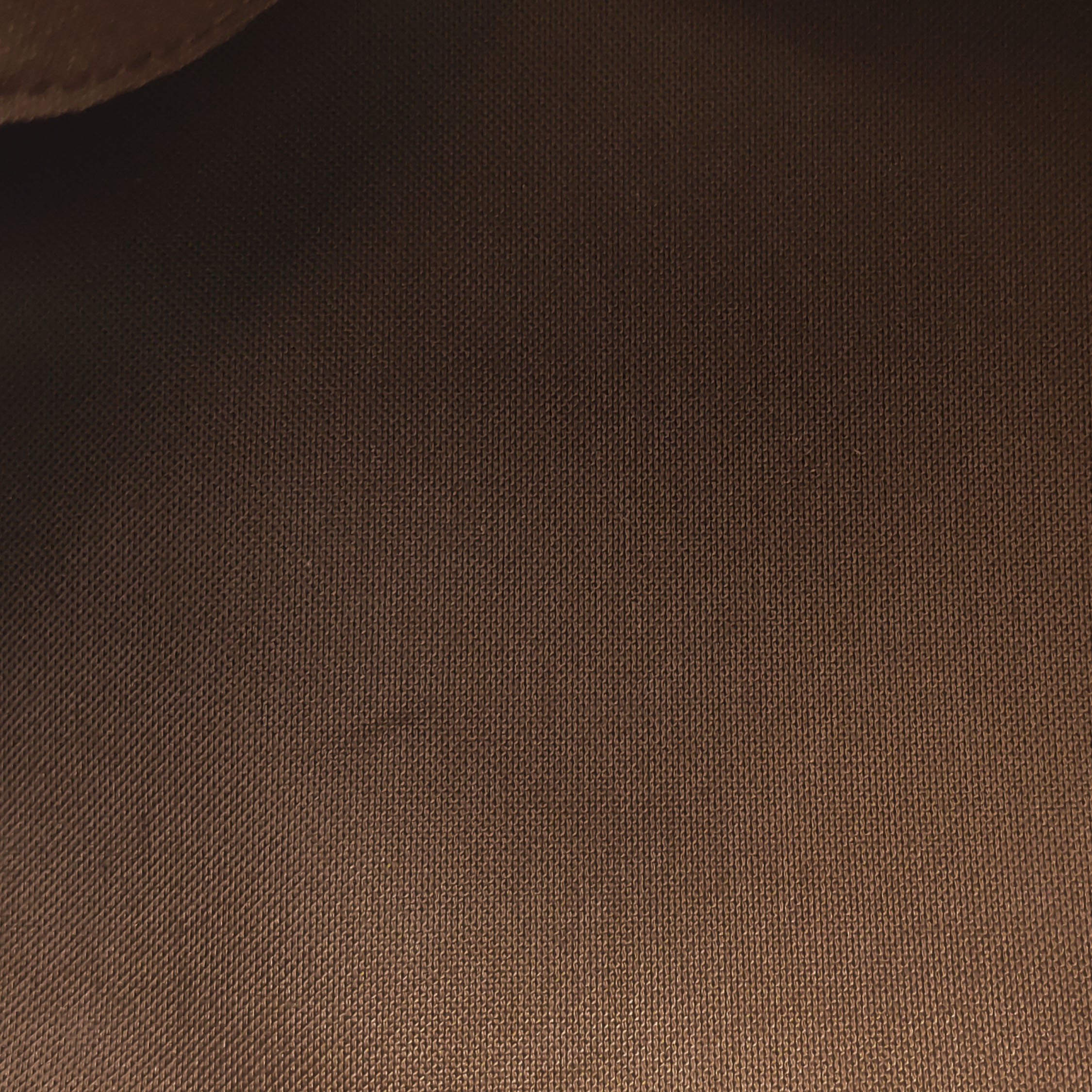 Louis Vuitton(LV) Speedy Bandouliere Bag Monogram Canvas 25 — photo 9 of 18