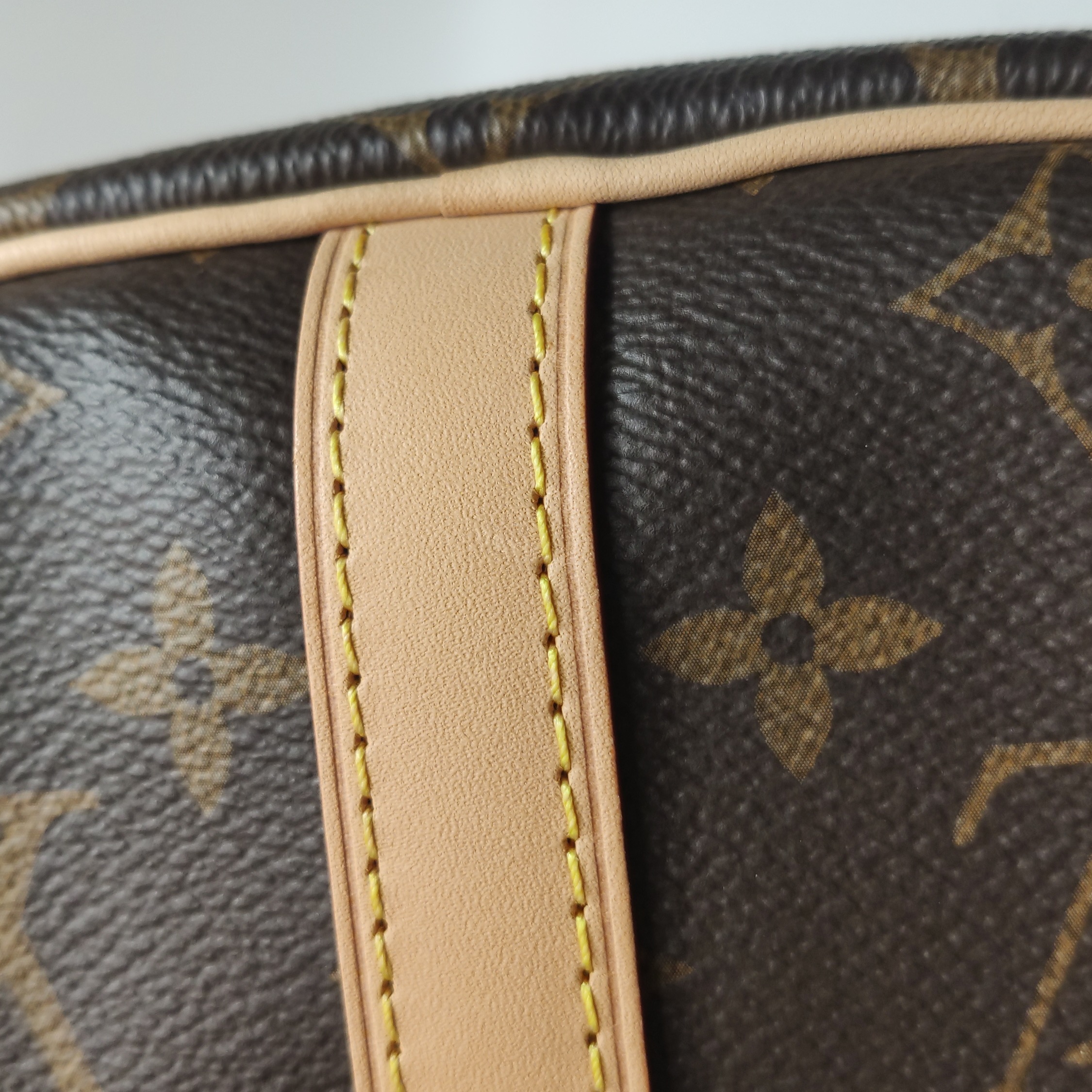Louis Vuitton(LV) Speedy Bandouliere Bag Monogram Canvas 25 — photo 11 of 18