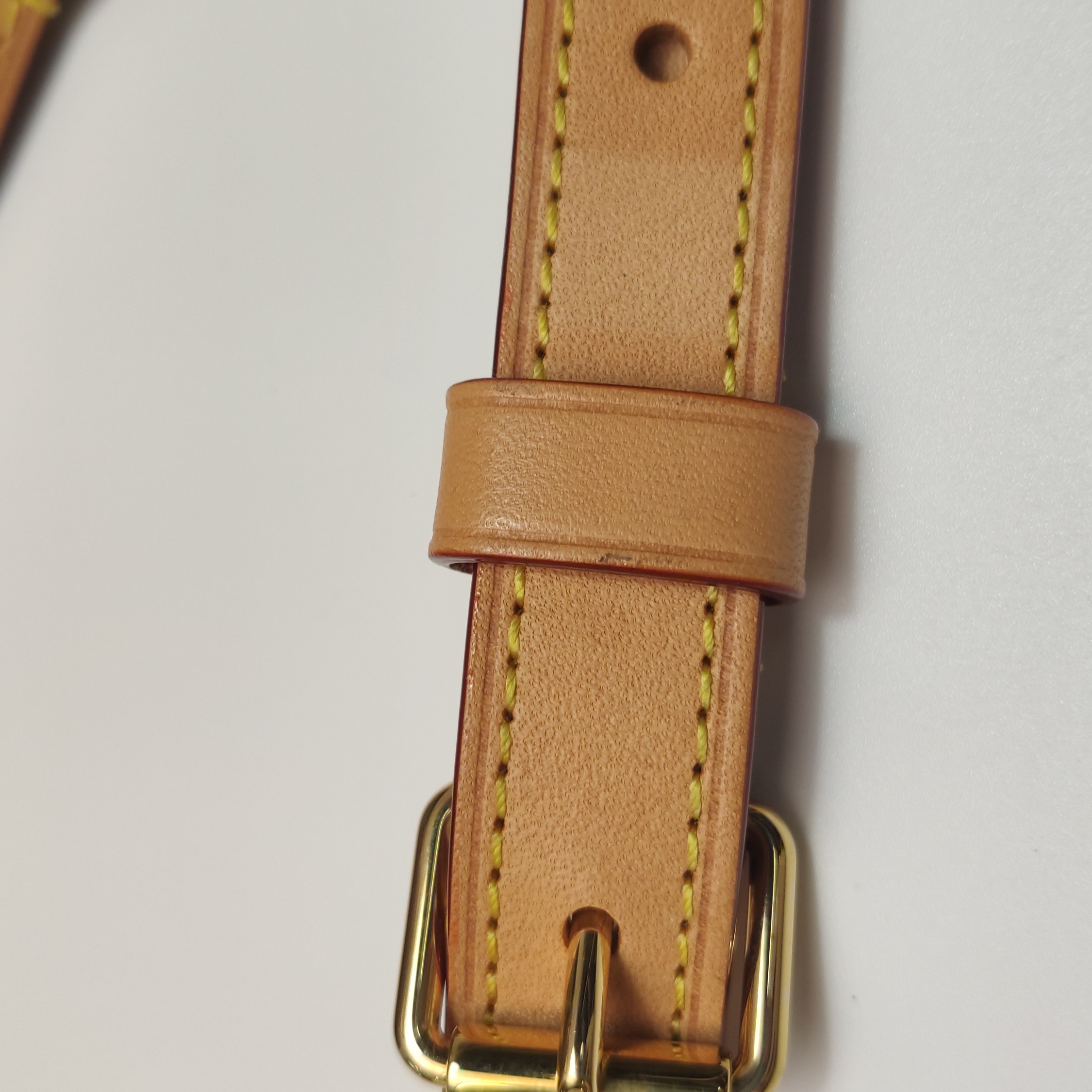 Louis Vuitton(LV) Speedy Bandouliere Bag Monogram Canvas 25 — photo 17 of 18