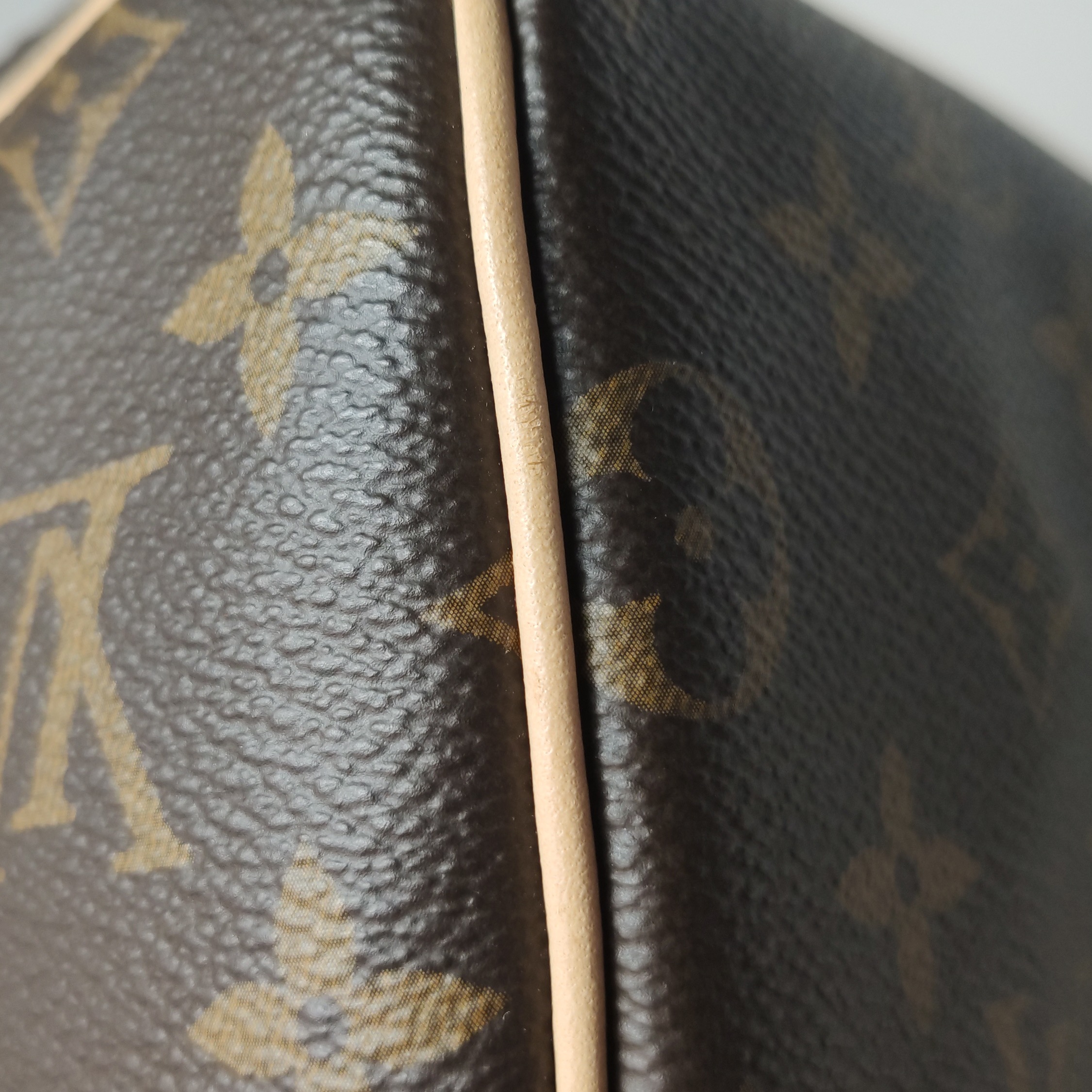 Louis Vuitton(LV) Speedy Bandouliere Bag Monogram Canvas 25 — photo 10 of 18