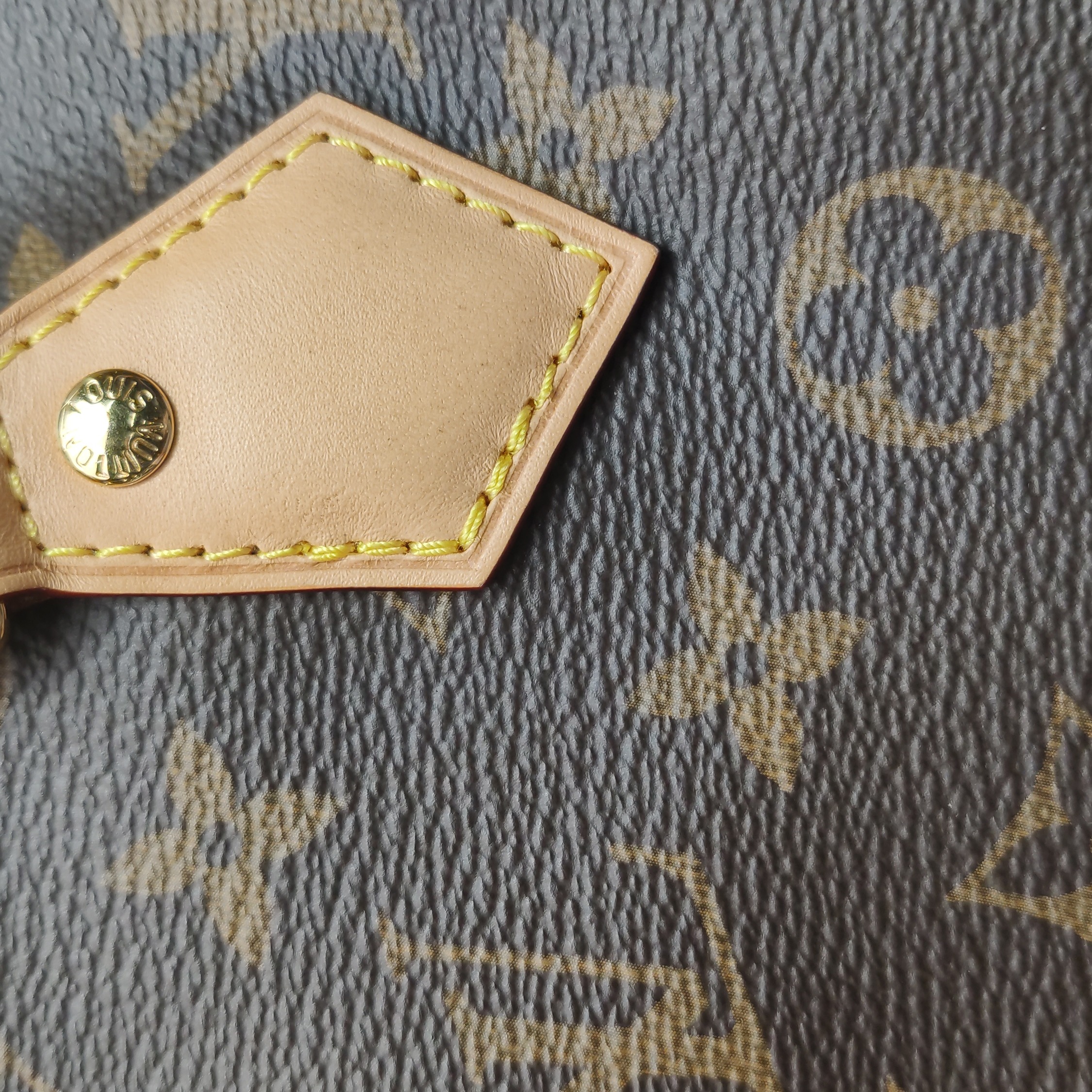 Louis Vuitton(LV) Speedy Bandouliere Bag Monogram Canvas 25 — photo 15 of 18
