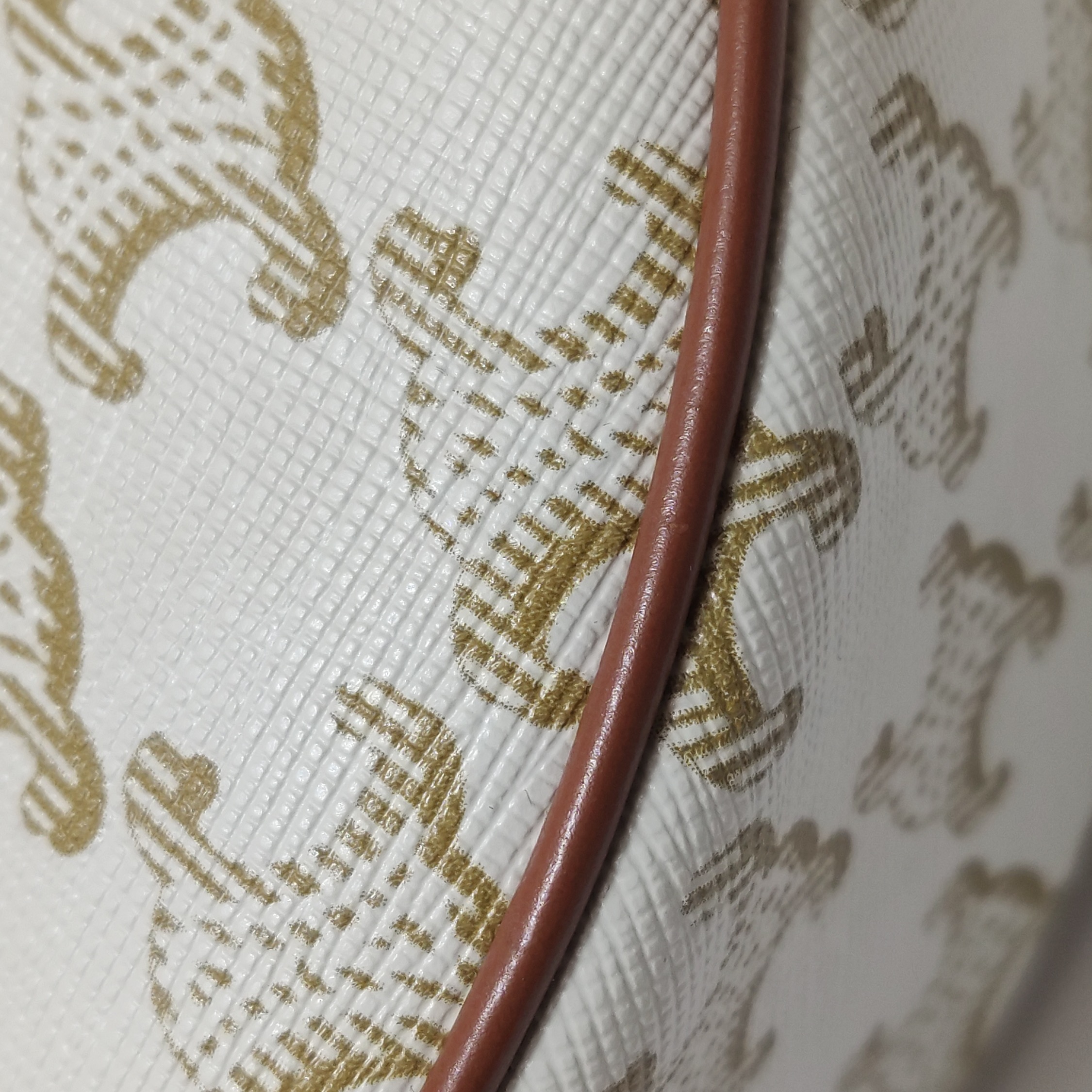 Celine Ava Coated Canvas Beige — photo 11 of 16