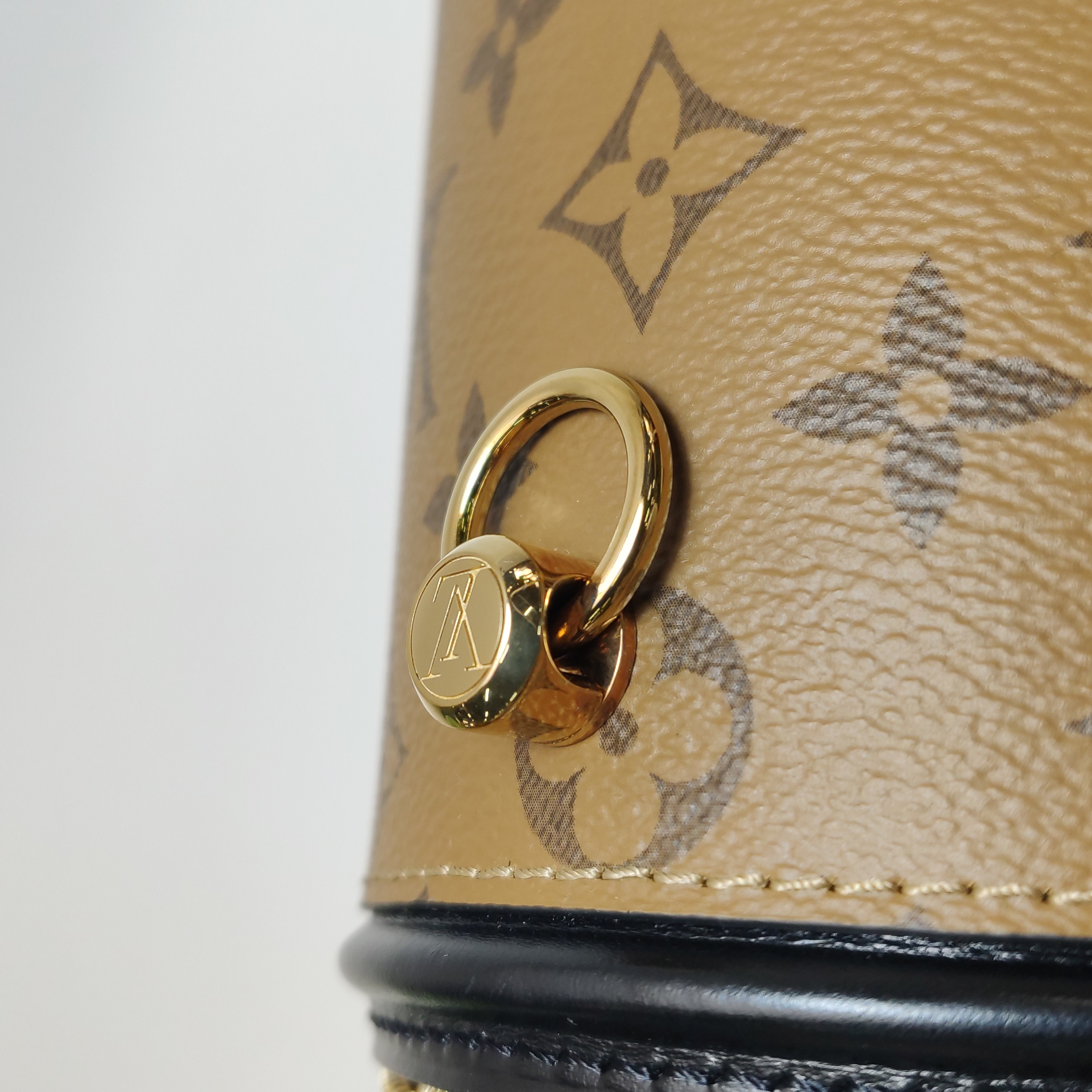 Louis Vuitton(LV) Cannes Handbag Reverse Monogram Canvas — photo 10 of 20