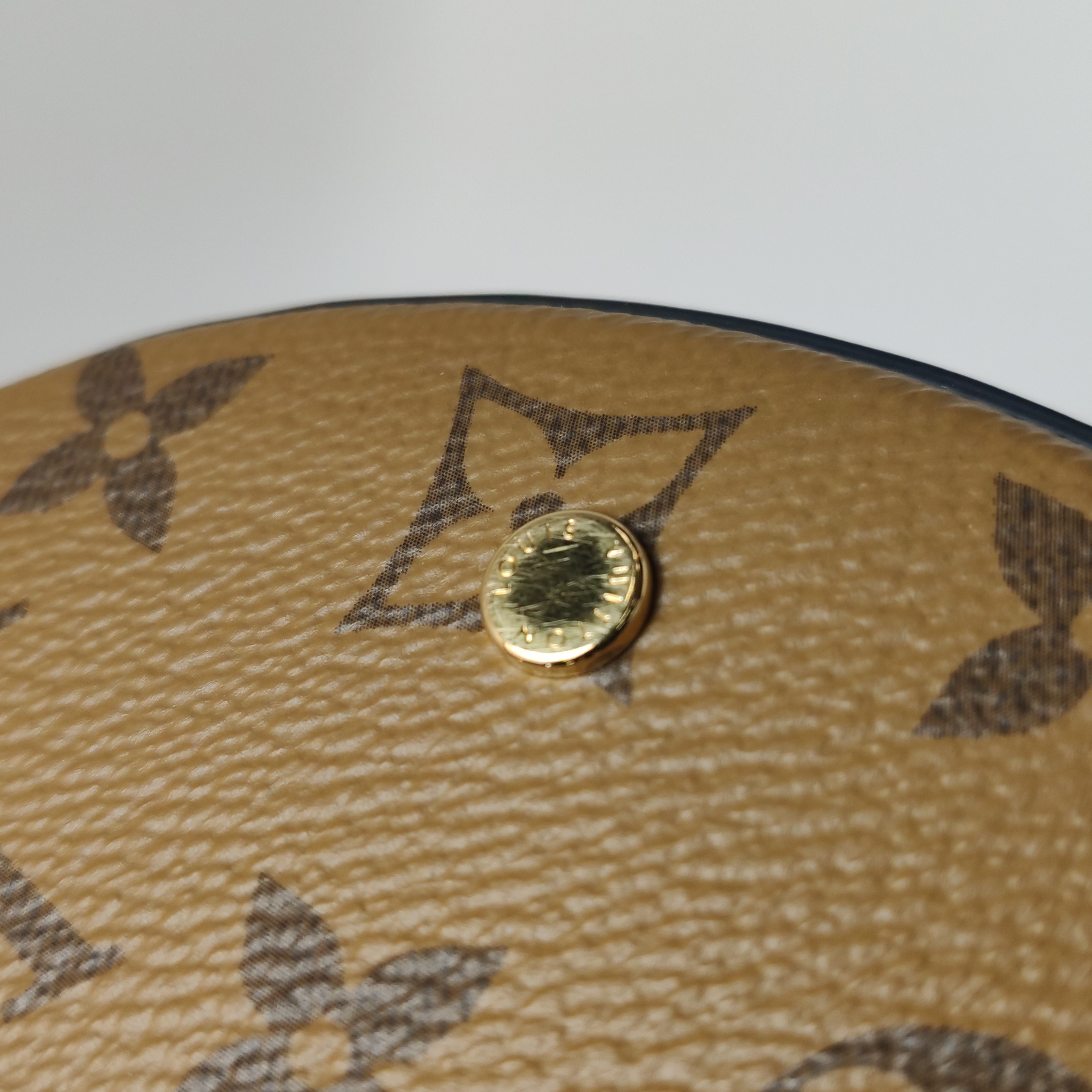 Louis Vuitton(LV) Cannes Handbag Reverse Monogram Canvas — photo 16 of 20