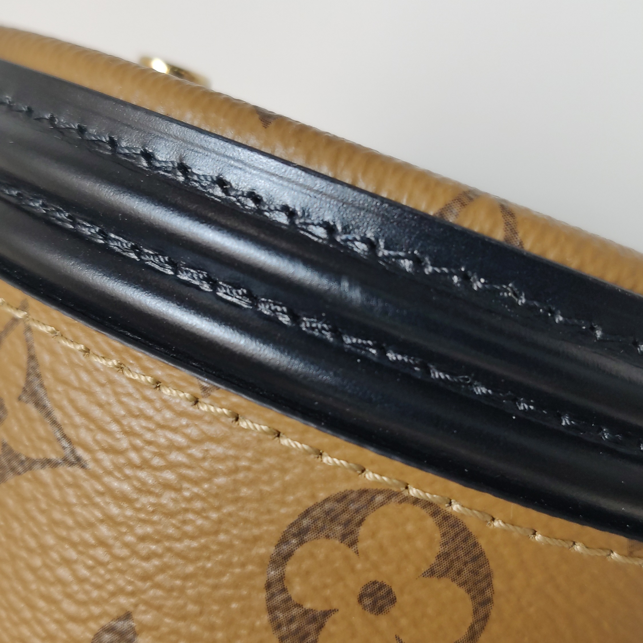 Louis Vuitton(LV) Cannes Handbag Reverse Monogram Canvas — photo 14 of 20