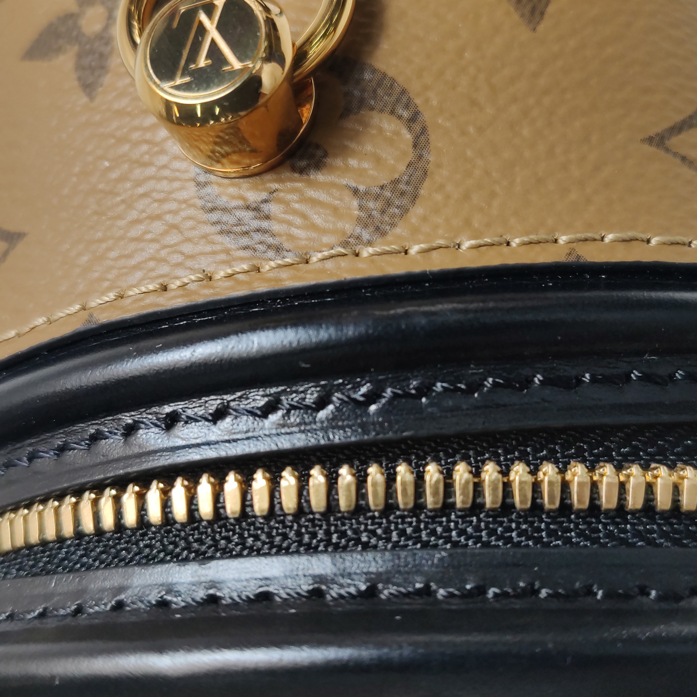 Louis Vuitton(LV) Cannes Handbag Reverse Monogram Canvas — photo 11 of 20