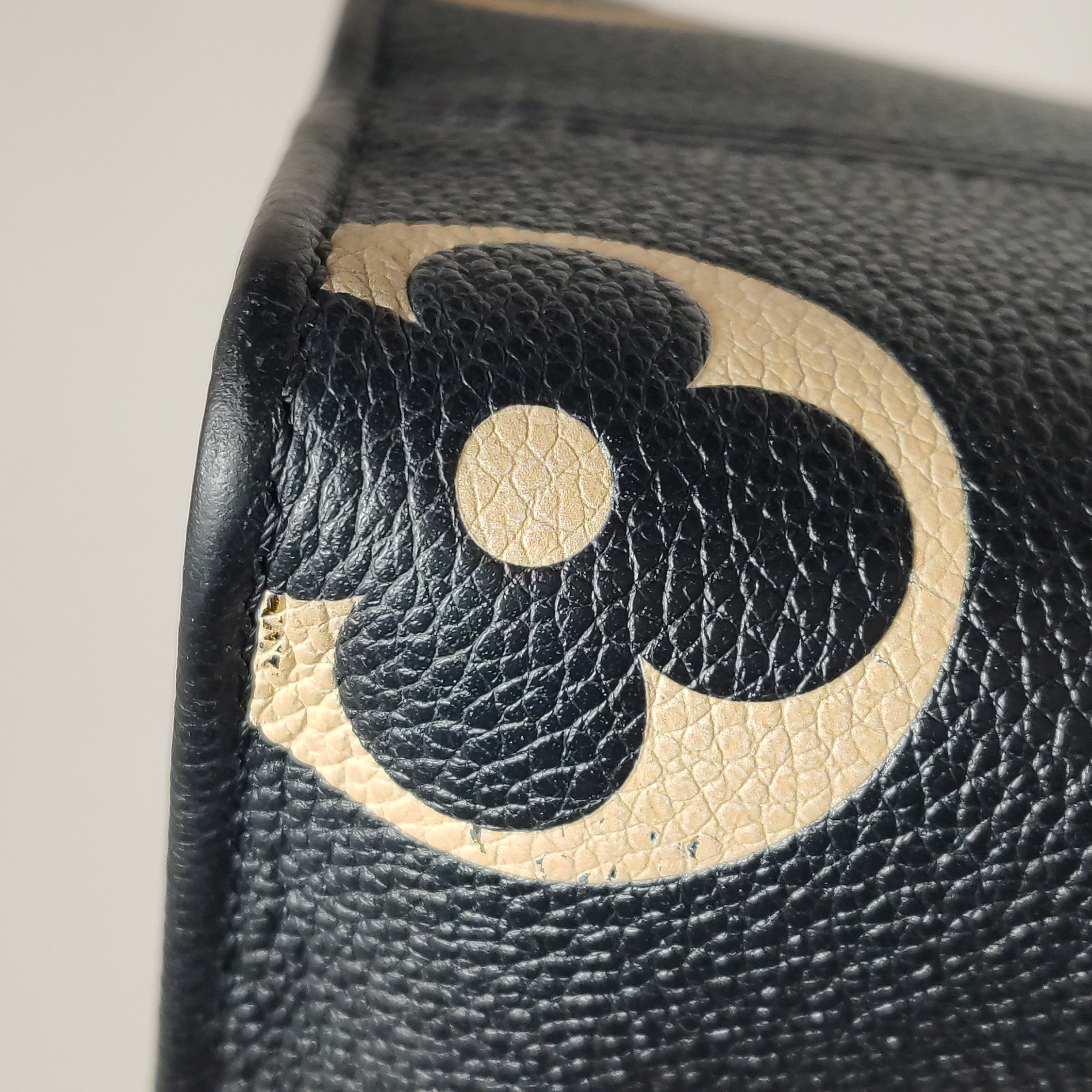 Louis Vuitton(LV) OnTheGo Tote Bicolor Monogram Empreinte Giant PM — photo 13 of 14
