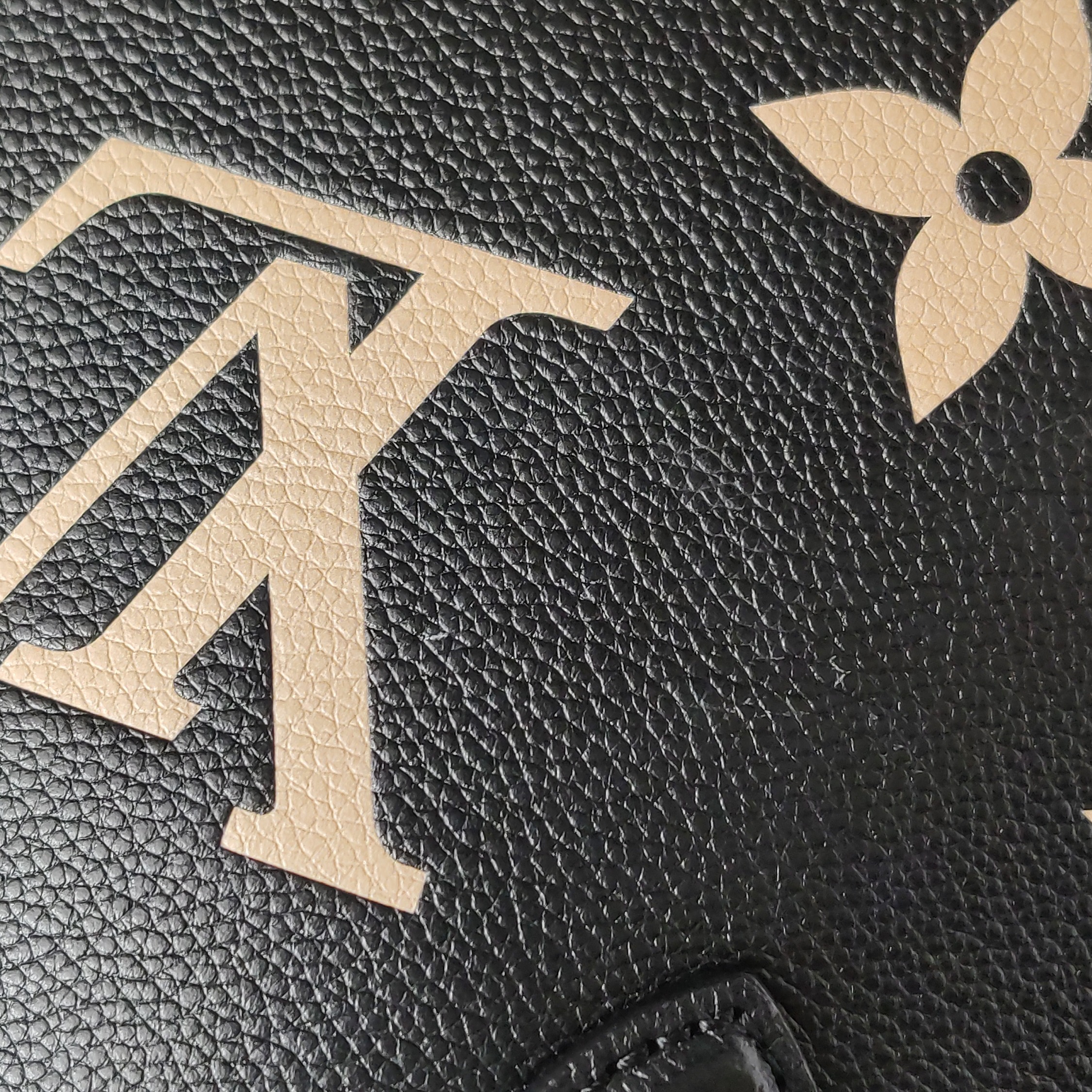 Louis Vuitton(LV) OnTheGo Tote Bicolor Monogram Empreinte Giant PM — photo 12 of 14