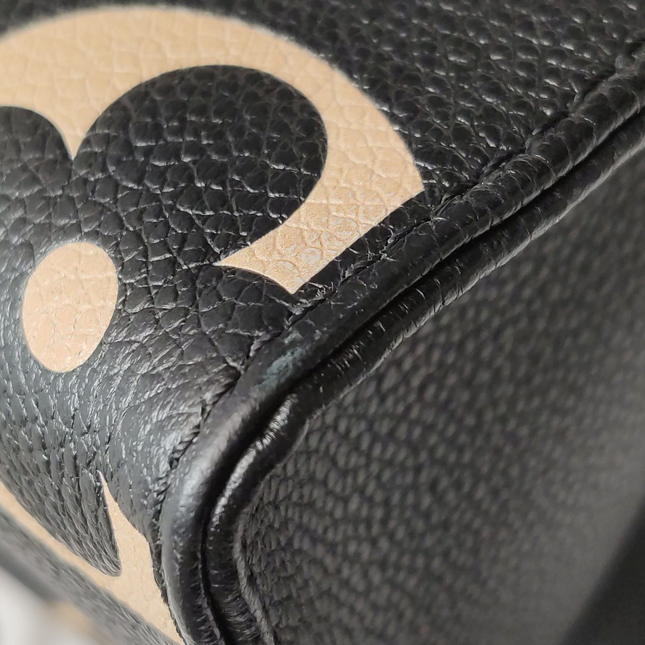 Louis Vuitton(LV) OnTheGo Tote Bicolor Monogram Empreinte Giant PM — photo 11 of 14