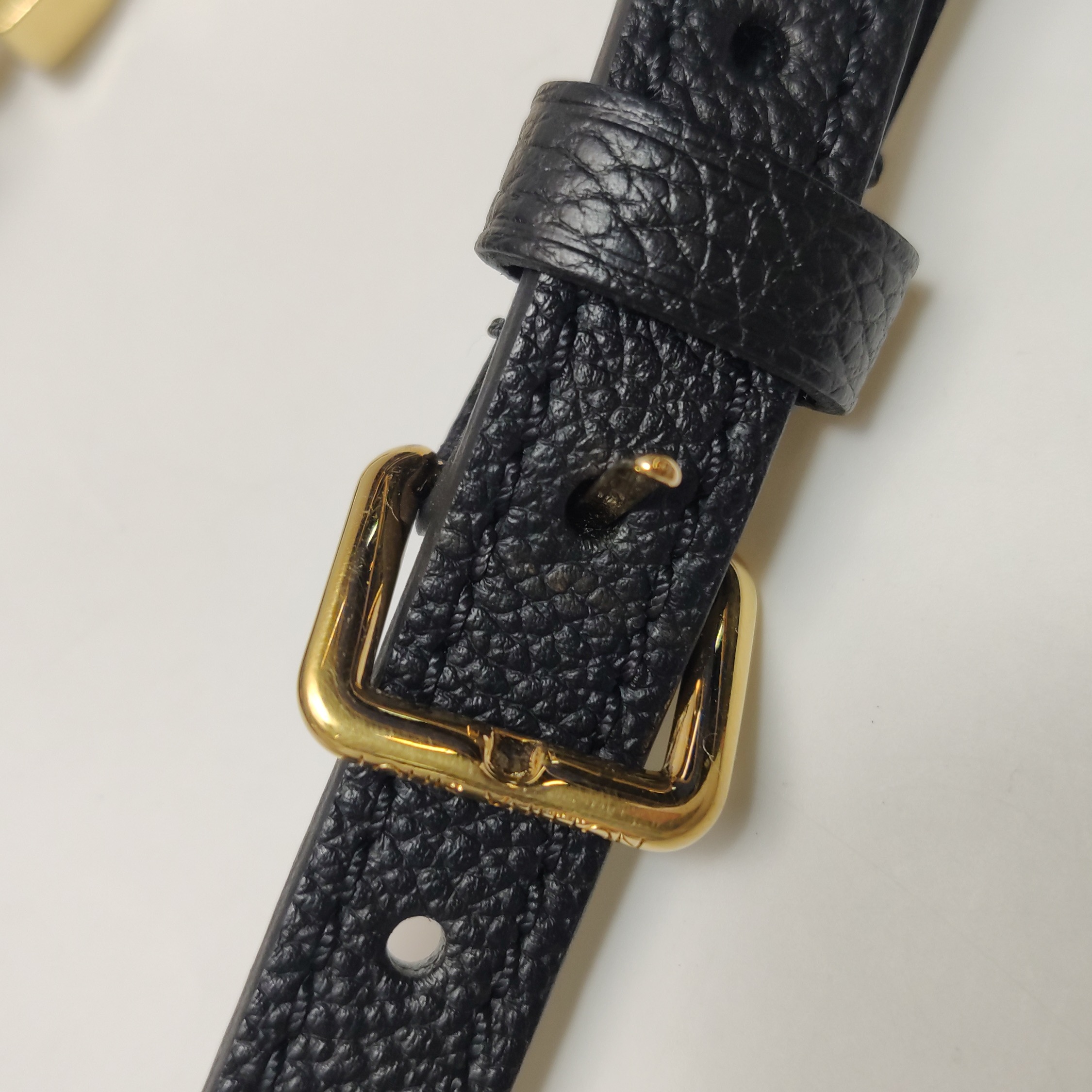 Louis Vuitton(LV) OnTheGo Tote Bicolor Monogram Empreinte Giant PM — photo 11 of 16