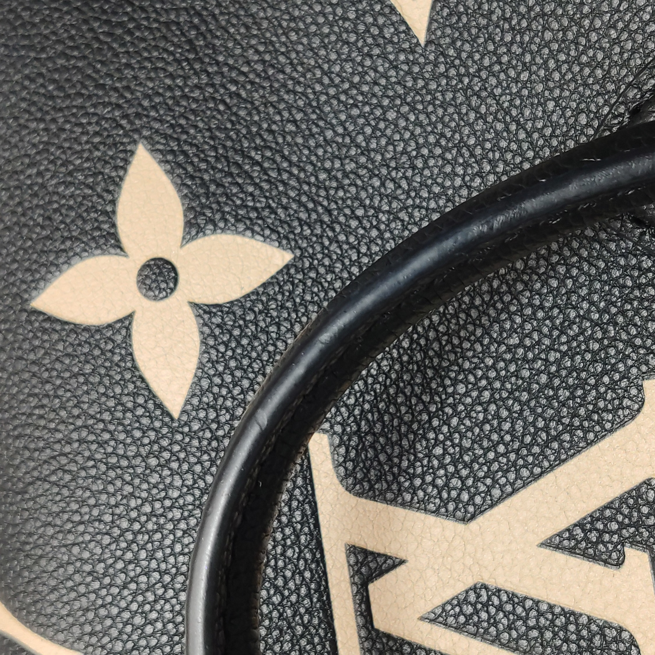 Louis Vuitton(LV) OnTheGo Tote Bicolor Monogram Empreinte Giant PM — photo 15 of 16