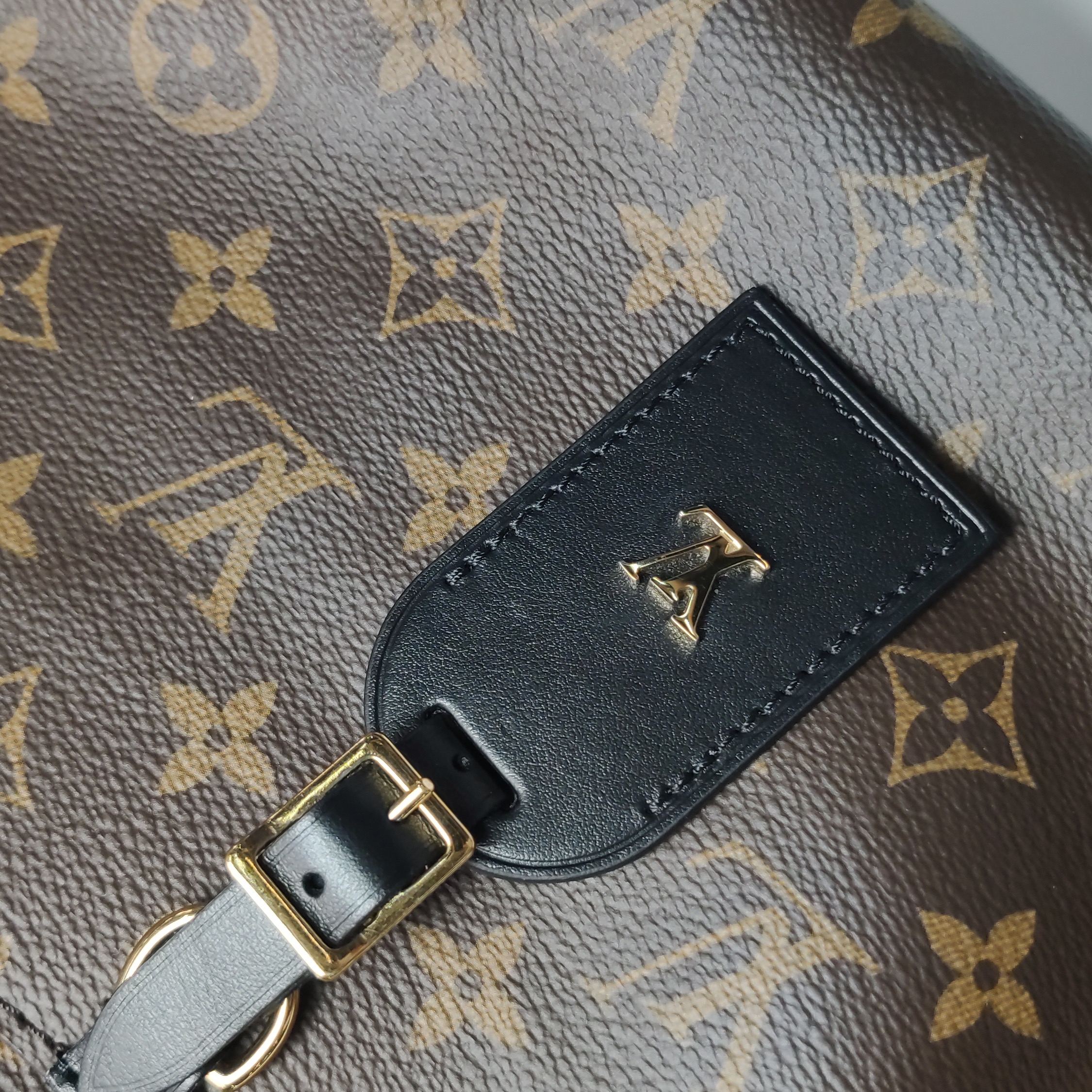 Louis Vuitton(LV) Odeon NM Handbag Monogram Canvas PM — photo 17 of 18