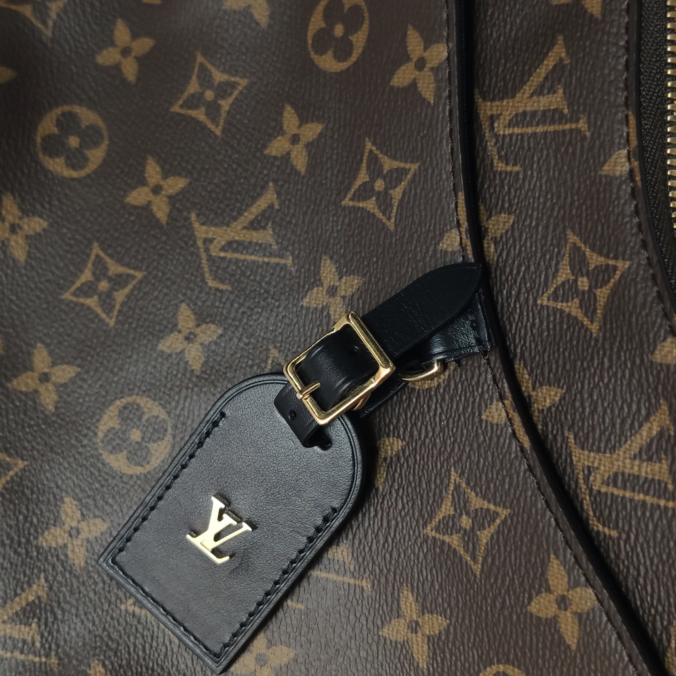 Louis Vuitton(LV) Odeon NM Handbag Monogram Canvas PM — photo 16 of 18