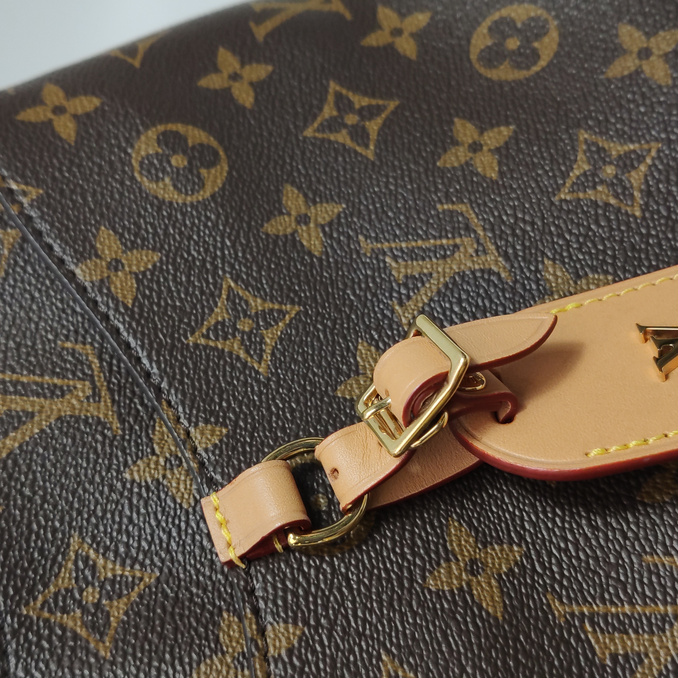 Louis Vuitton(LV) Odeon NM Handbag Monogram Canvas PM — photo 14 of 19