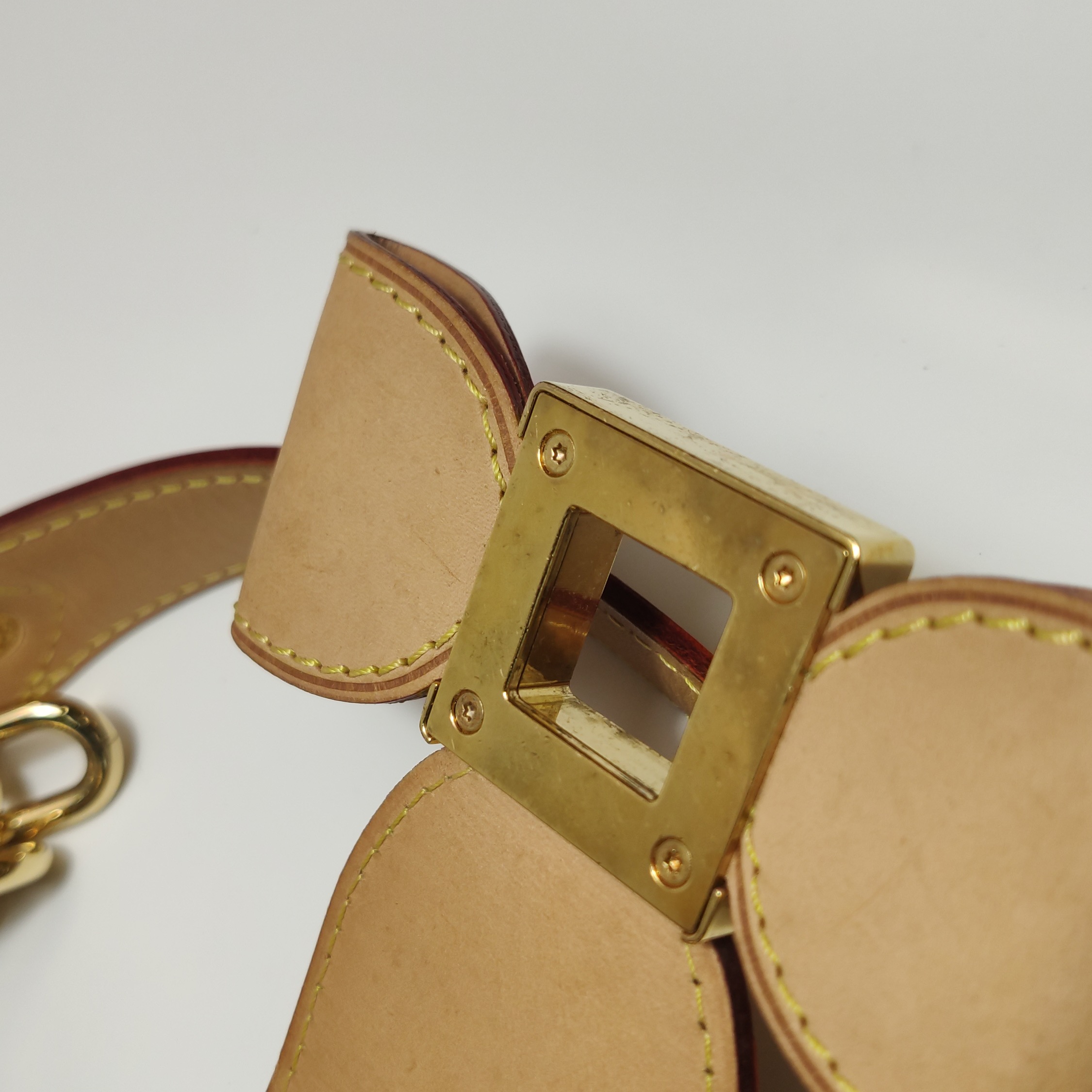 Louis Vuitton(LV) Annie Handbag Monogram Multicolor MM — photo 11 of 24