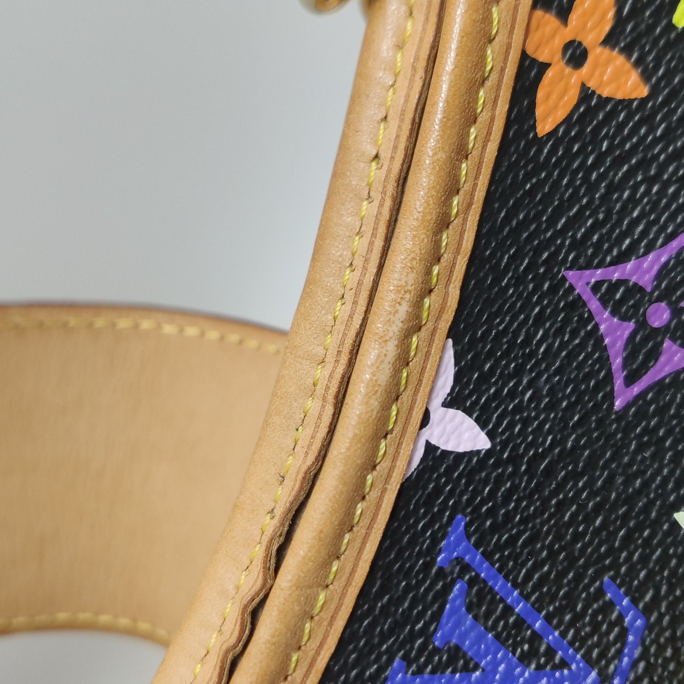 Louis Vuitton(LV) Annie Handbag Monogram Multicolor MM — photo 19 of 24