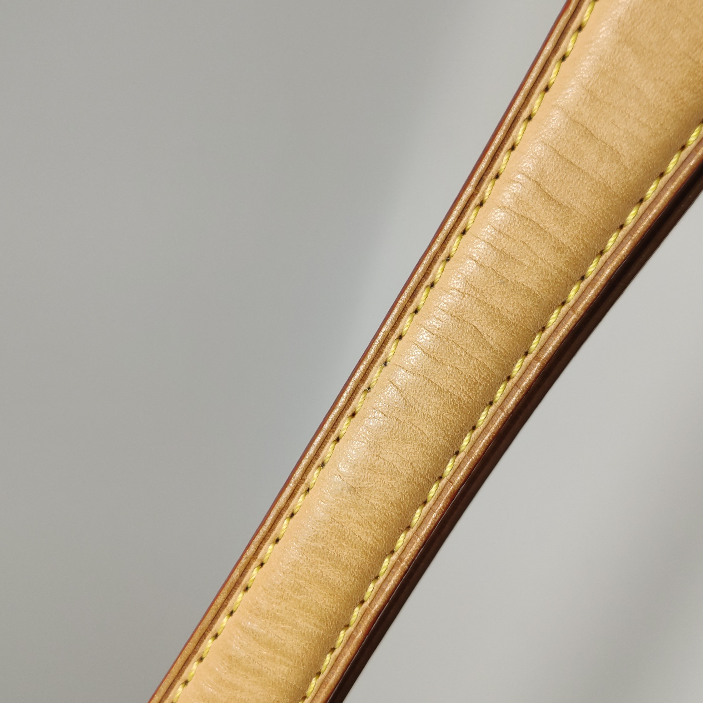 Louis Vuitton(LV) Annie Handbag Monogram Multicolor MM — photo 24 of 24