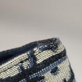 Christian Dior Saddle Chain Wallet Oblique Canvas — thumbnail 14