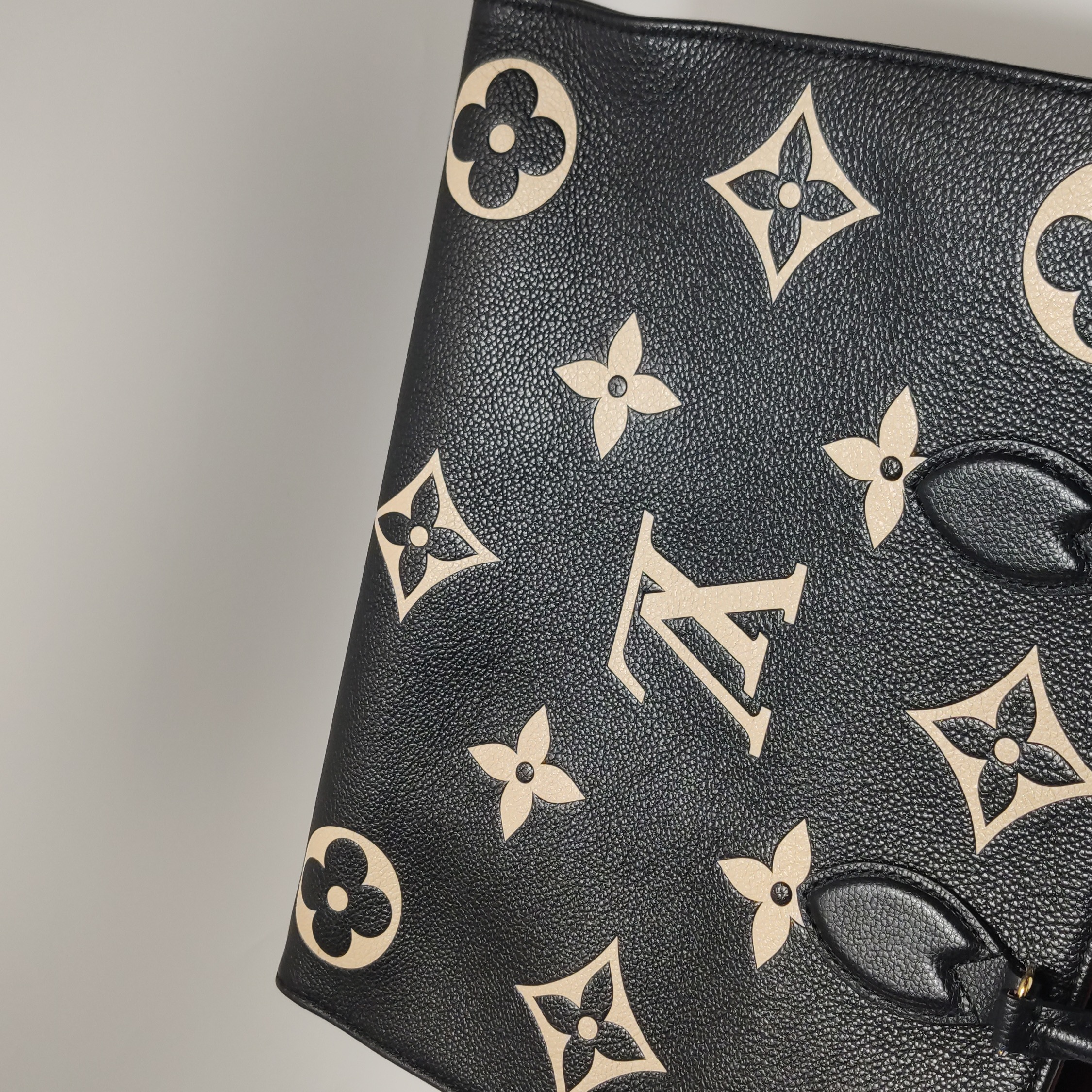 Louis Vuitton(LV) OnTheGo Tote Bicolor Monogram Empreinte Giant MM — photo 13 of 15