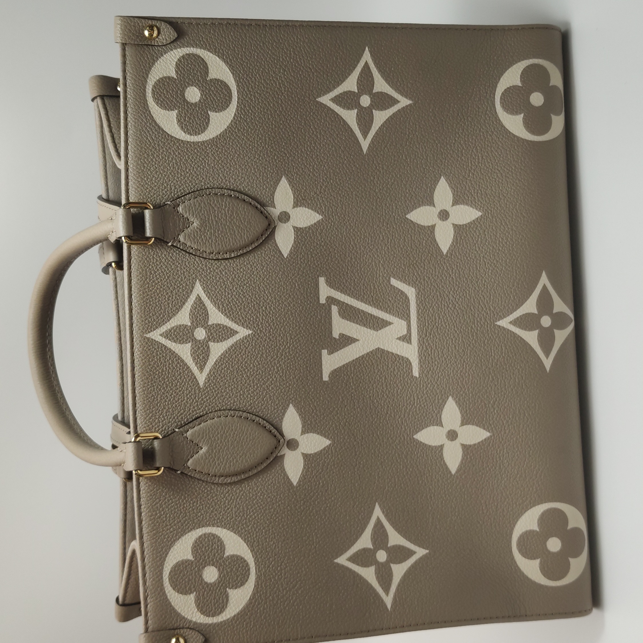 Louis Vuitton(LV) OnTheGo Tote Bicolor Monogram Empreinte Giant MM — photo 13 of 15