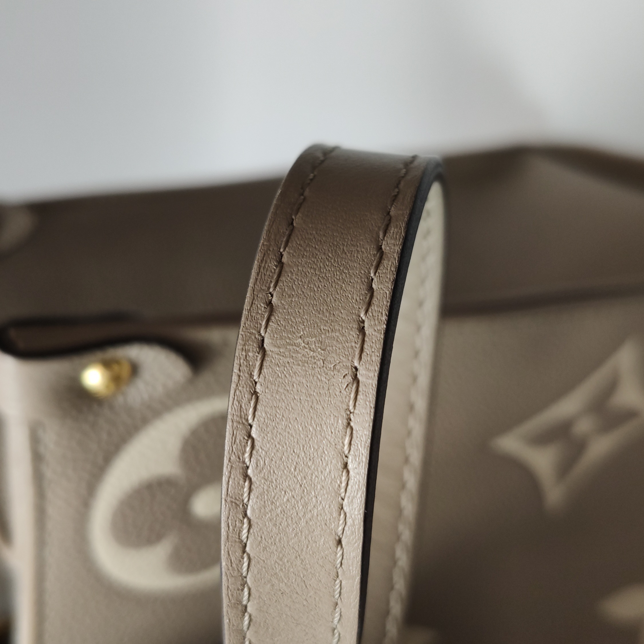 Louis Vuitton(LV) OnTheGo Tote Bicolor Monogram Empreinte Giant MM — photo 13 of 13