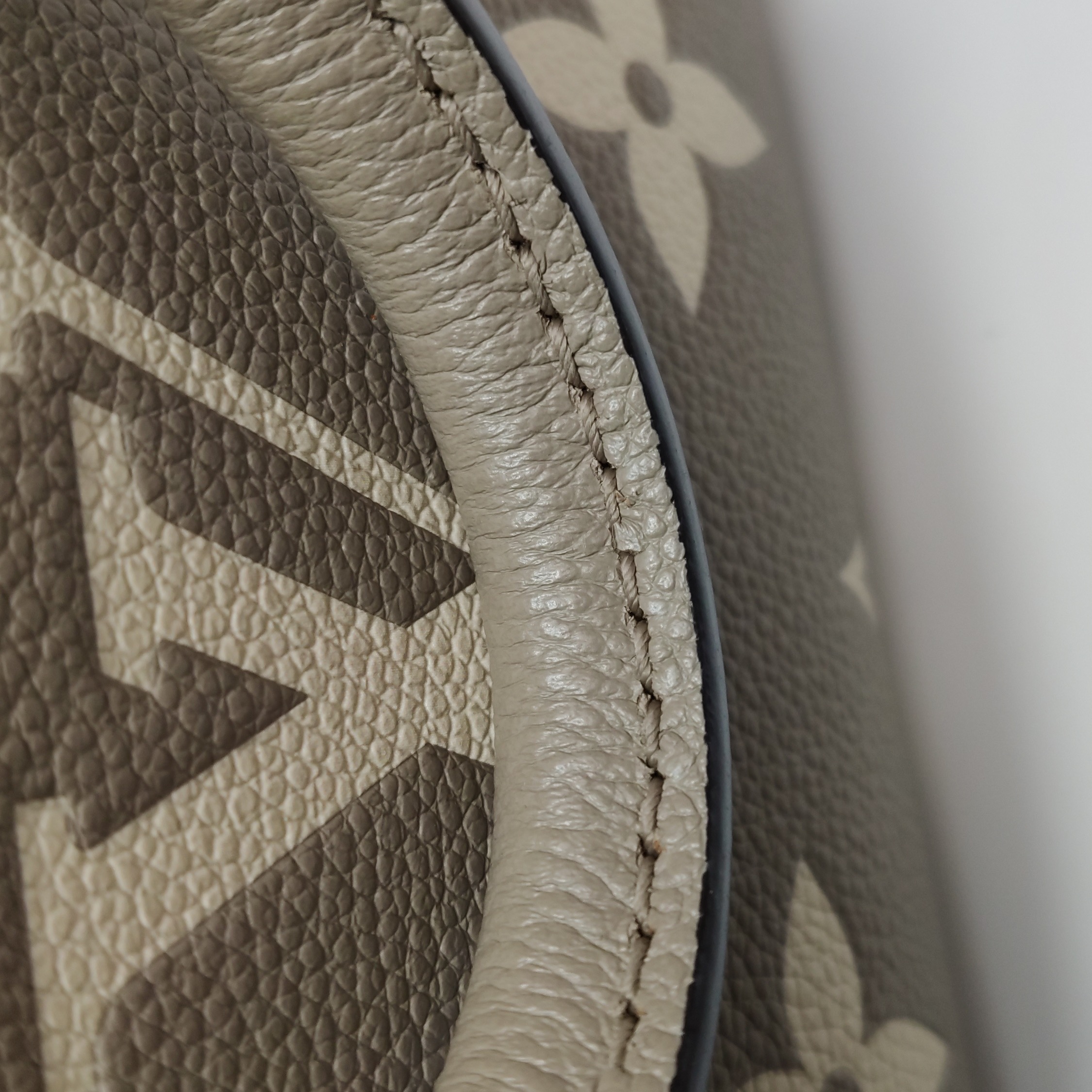 Louis Vuitton(LV) OnTheGo Tote Bicolor Monogram Empreinte Giant BB — photo 15 of 15