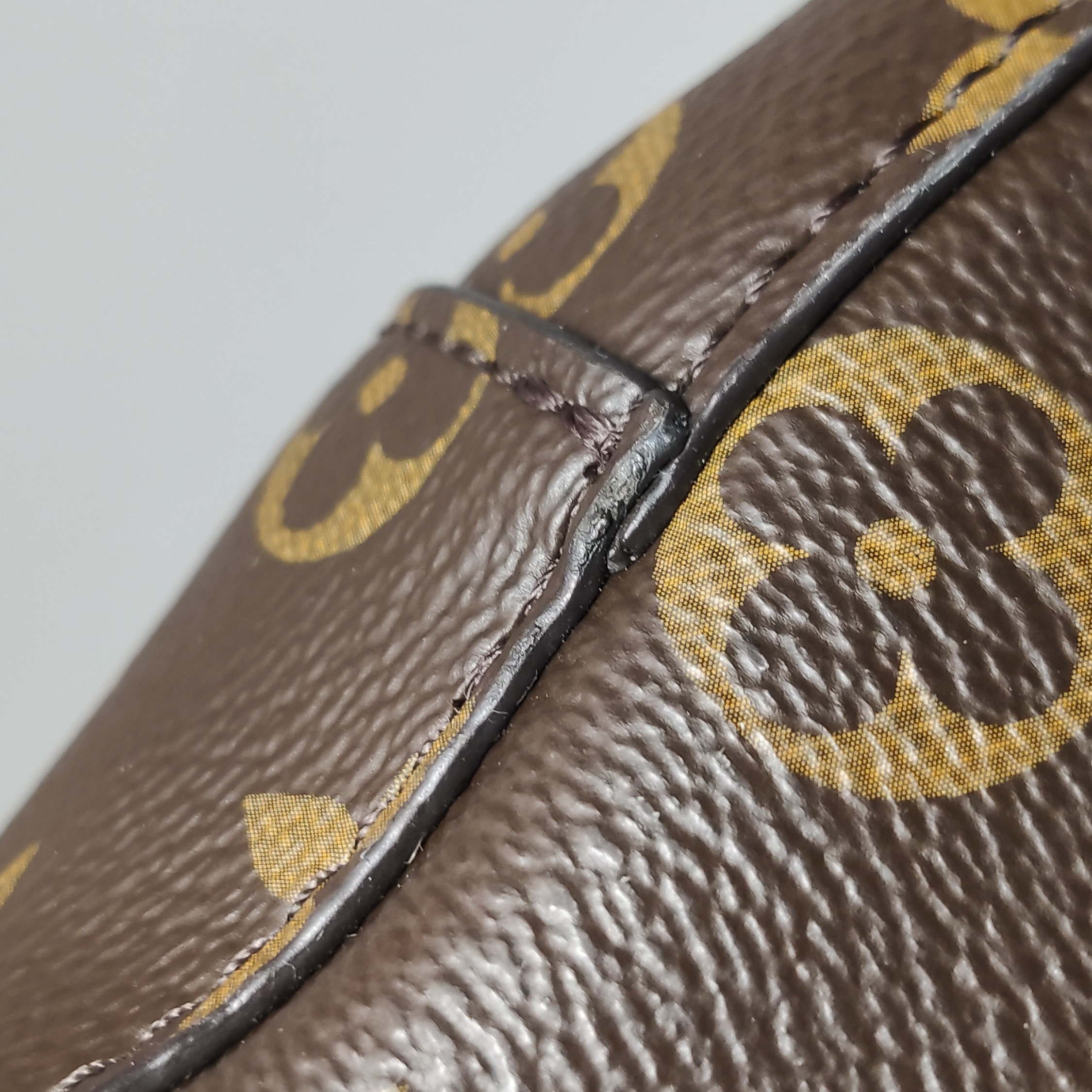 Louis Vuitton(LV) NeoNoe Handbag Monogram Canvas with Leather MM — photo 18 of 22