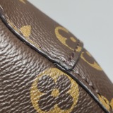 Louis Vuitton(LV) NeoNoe Handbag Monogram Canvas with Leather MM — thumbnail 18