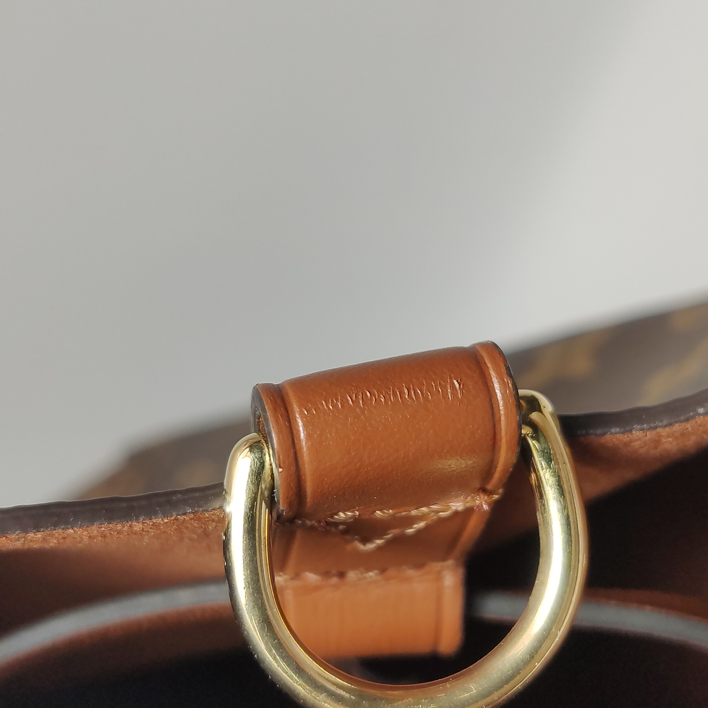 Louis Vuitton(LV) NeoNoe Handbag Monogram Canvas with Leather MM — photo 9 of 18