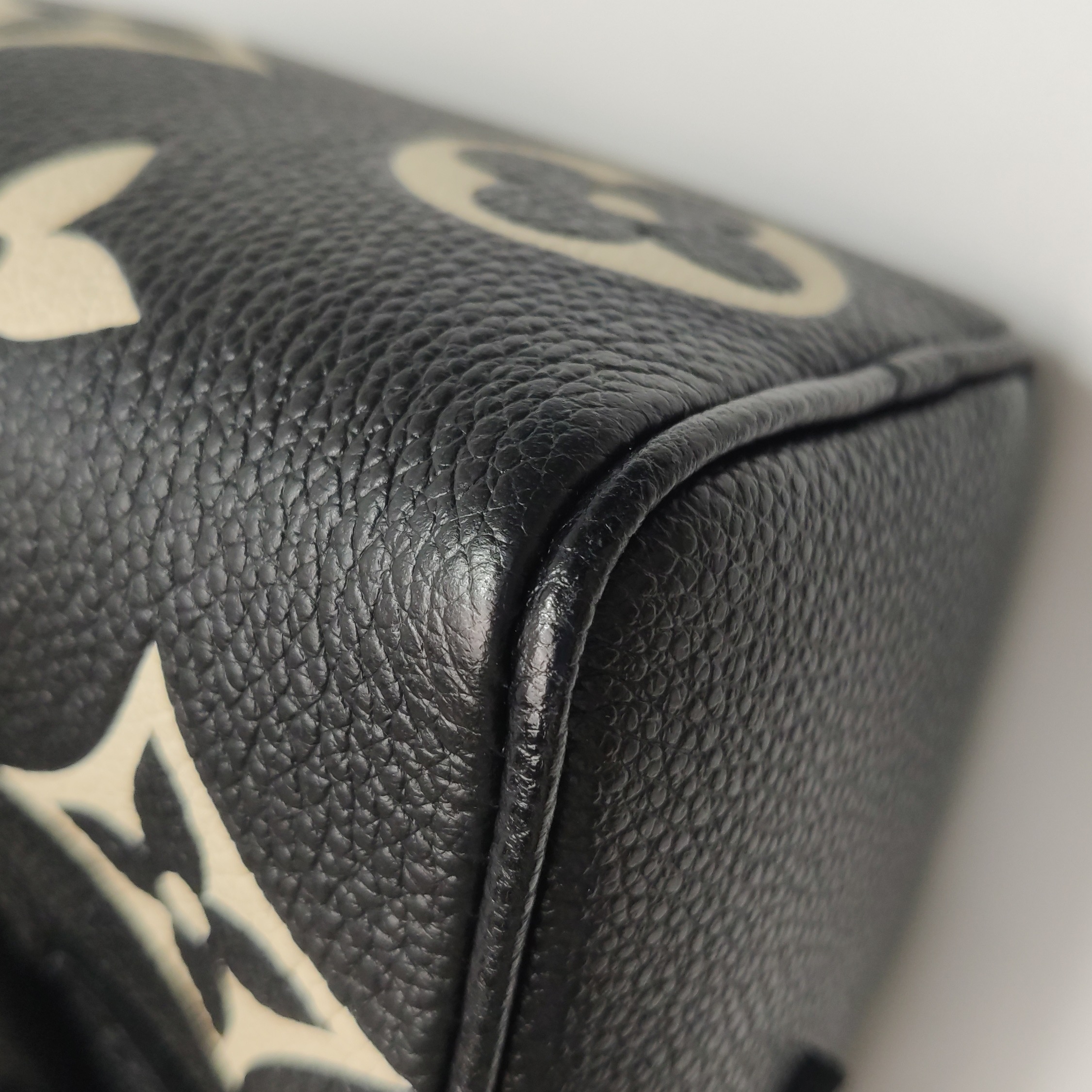 Louis Vuitton(Lv) Speedy Bandouliere NM Bag Bicolor Monogram Empreinte Giant Nano — photo 11 of 14