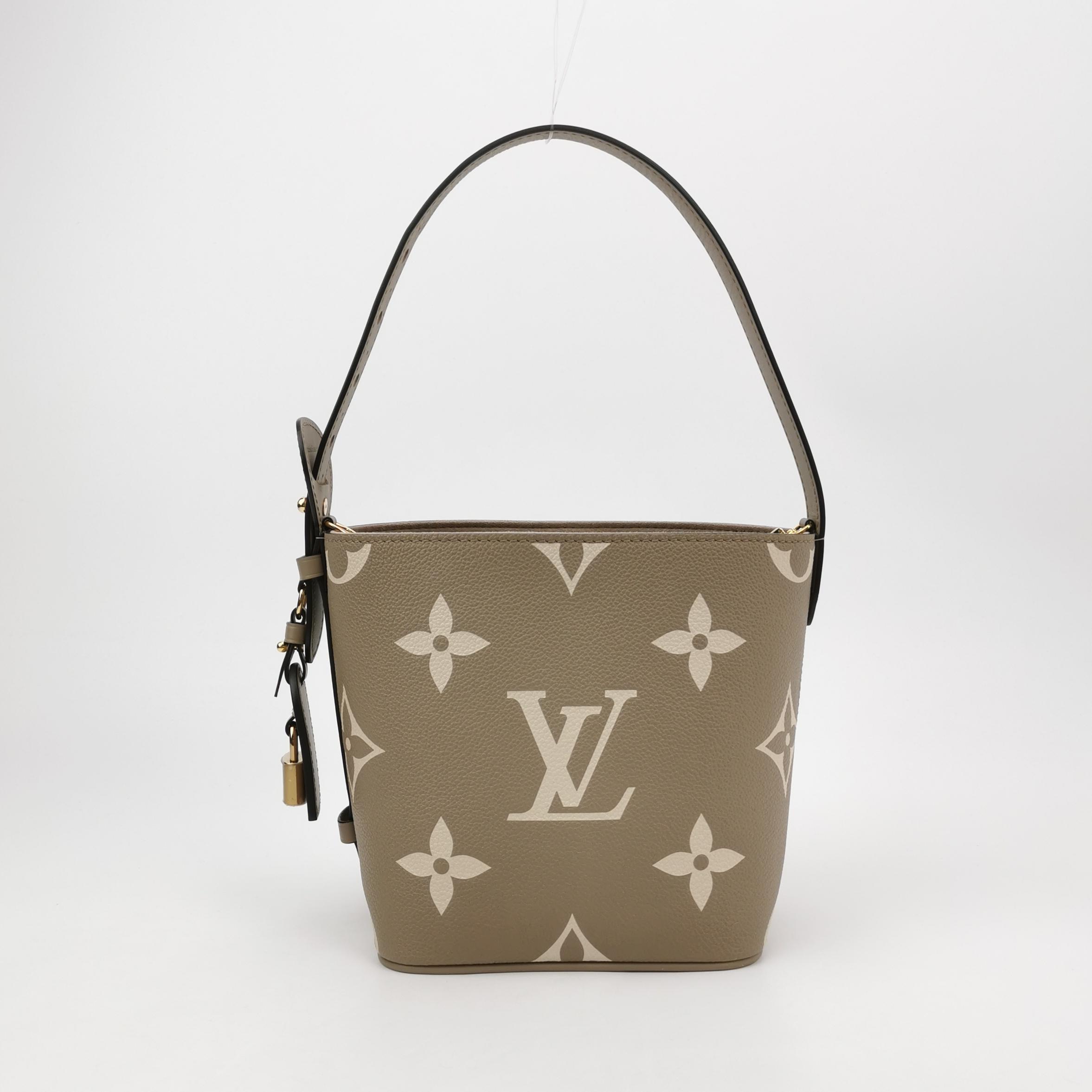 Louis Vuitton(Lv) All In BB Monogram Calfskin Gray — photo 6 of 16